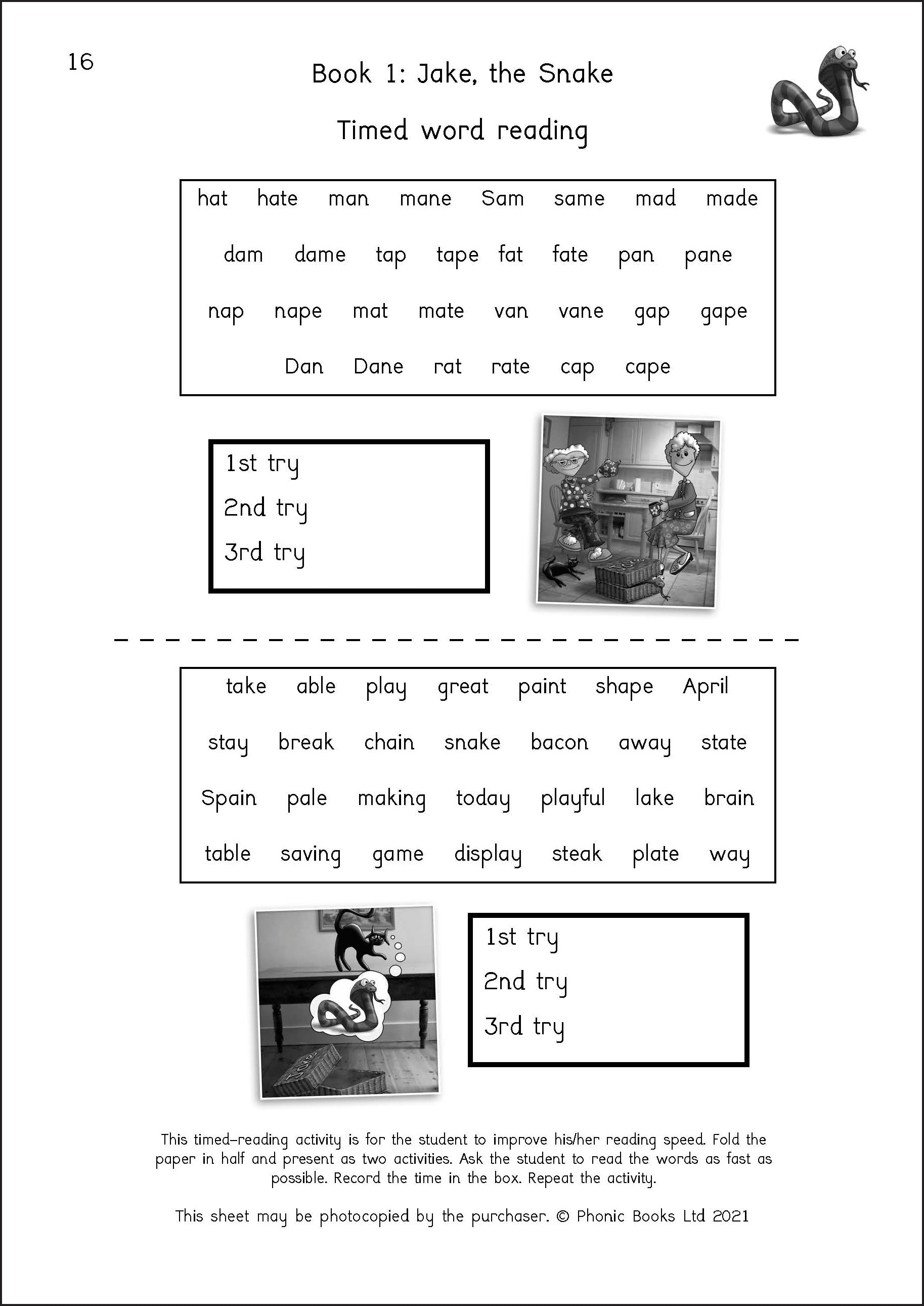 Phonic Books Dandelion Readers Vowel Spellings Level 3 Activities
