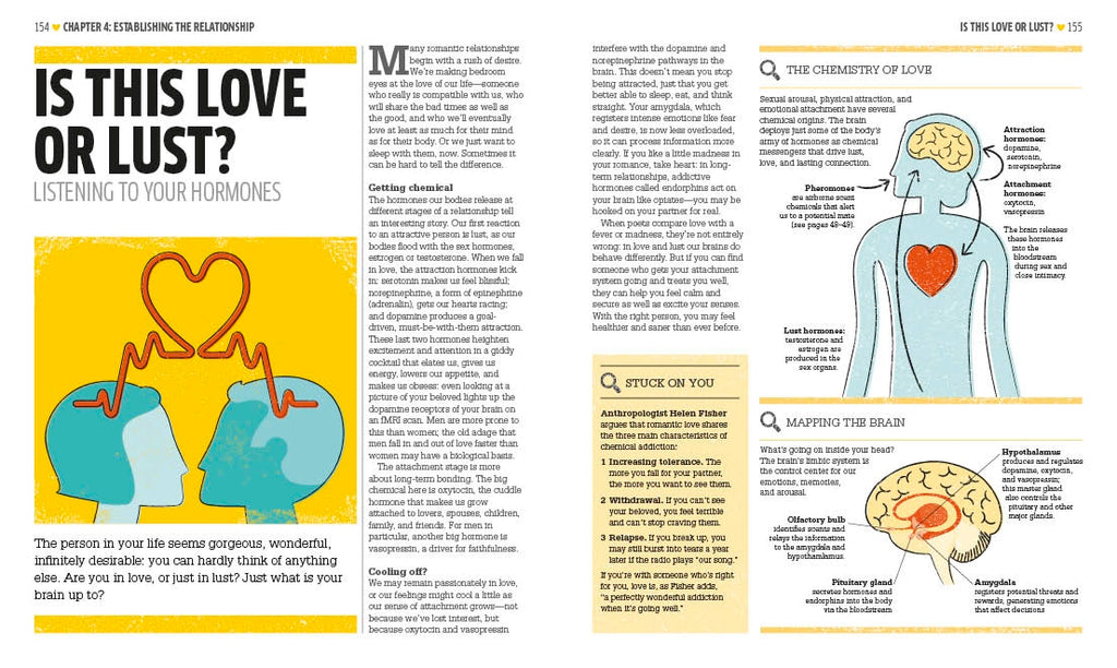 Love: The Psychology of Attraction