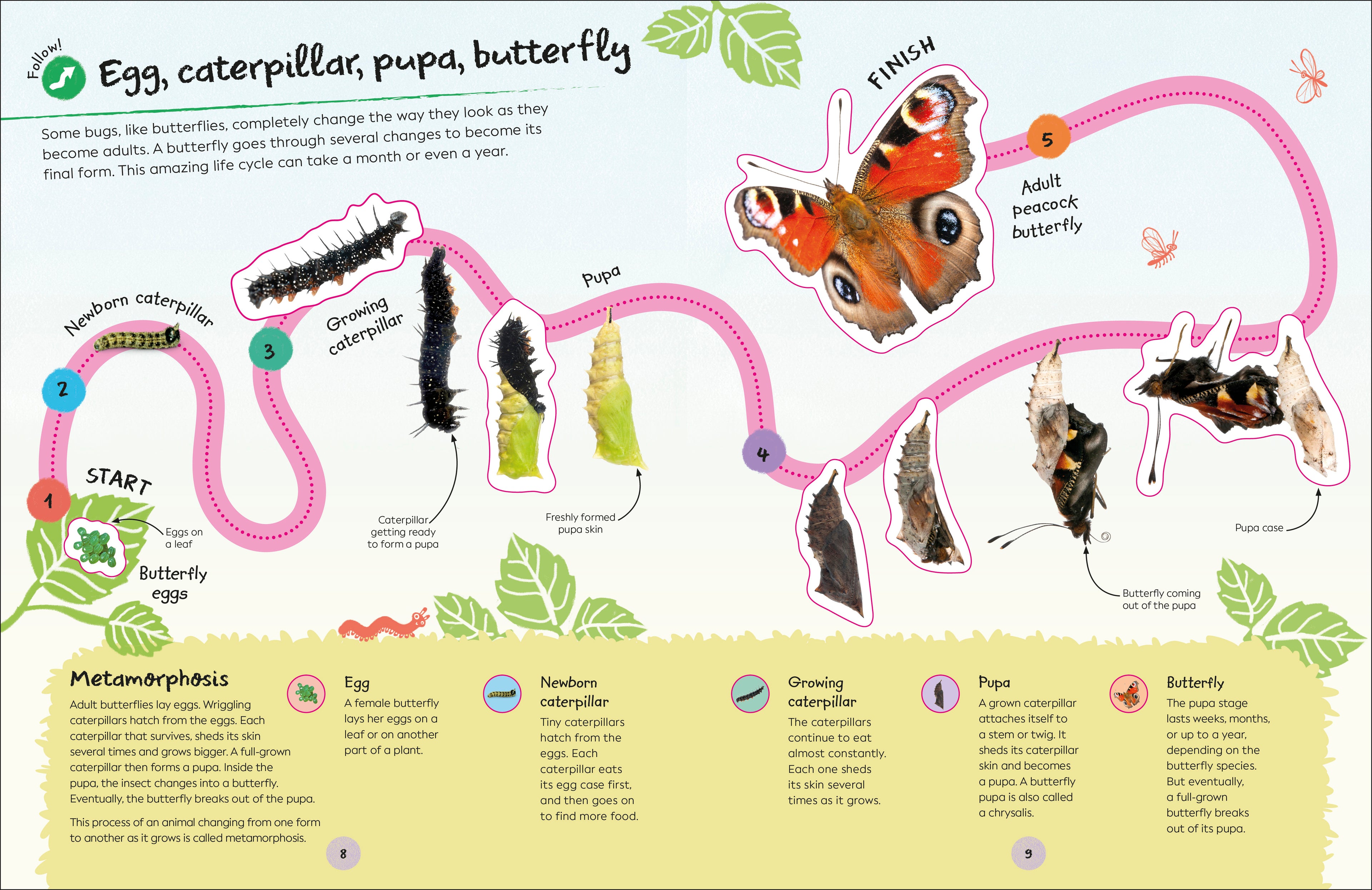 RHS Ultimate Sticker Book Garden Bugs