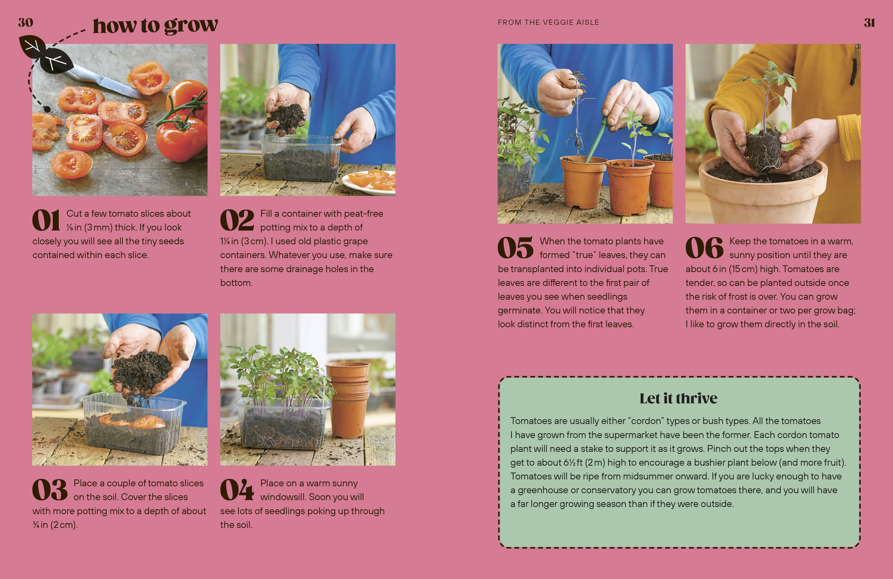 Grow Your Groceries-Spread, Image, (PRHC, Design, Do, Not, Use)-3
