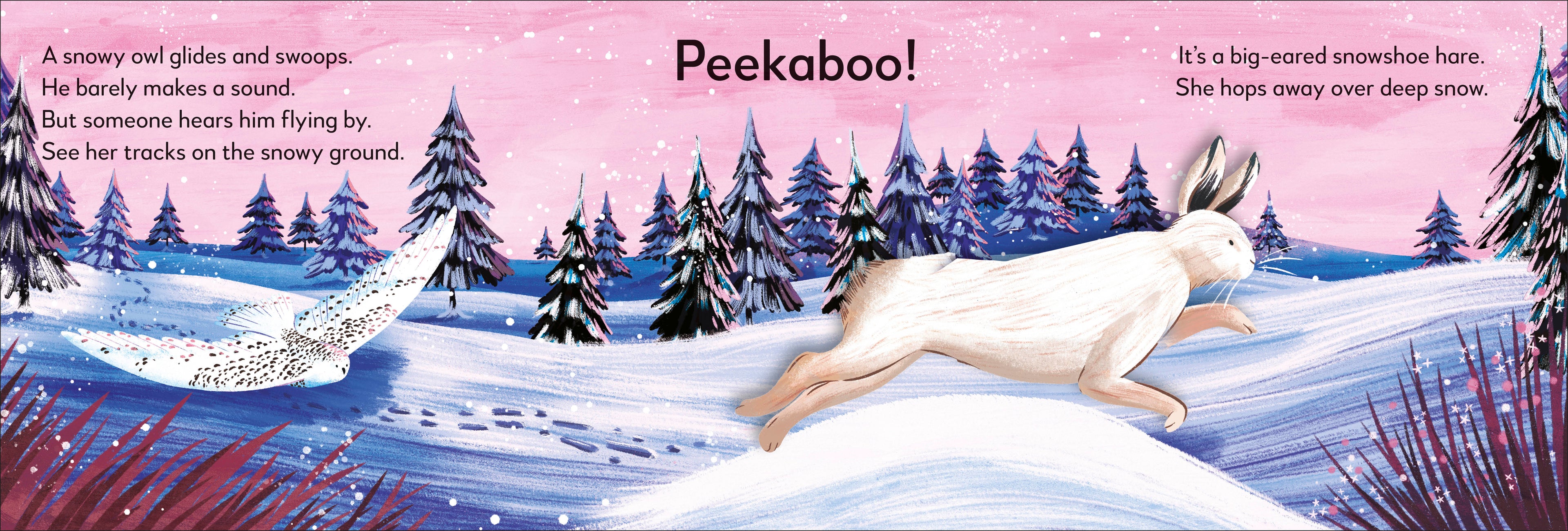 Pop-up Peekaboo! Winter-Spread, Image, (PRHC, Design, Do, Not, Use)-4