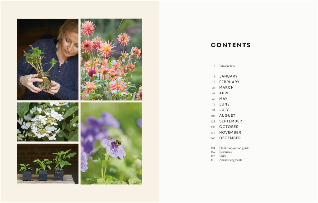 The Money-Saving Garden Year-Spread, Image, (PRHC, Design, Do, Not, Use)-1