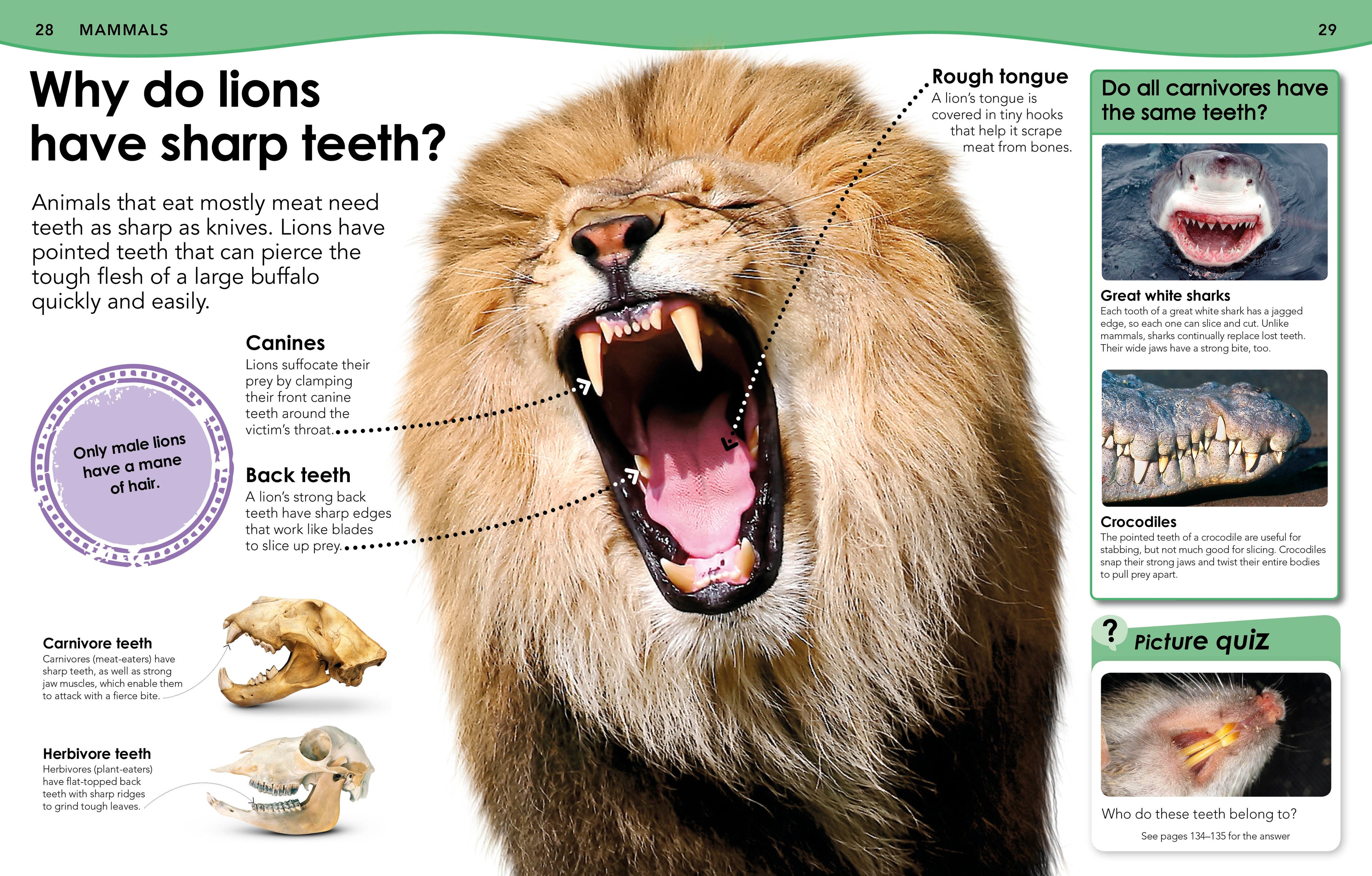 Did You Know? Animals