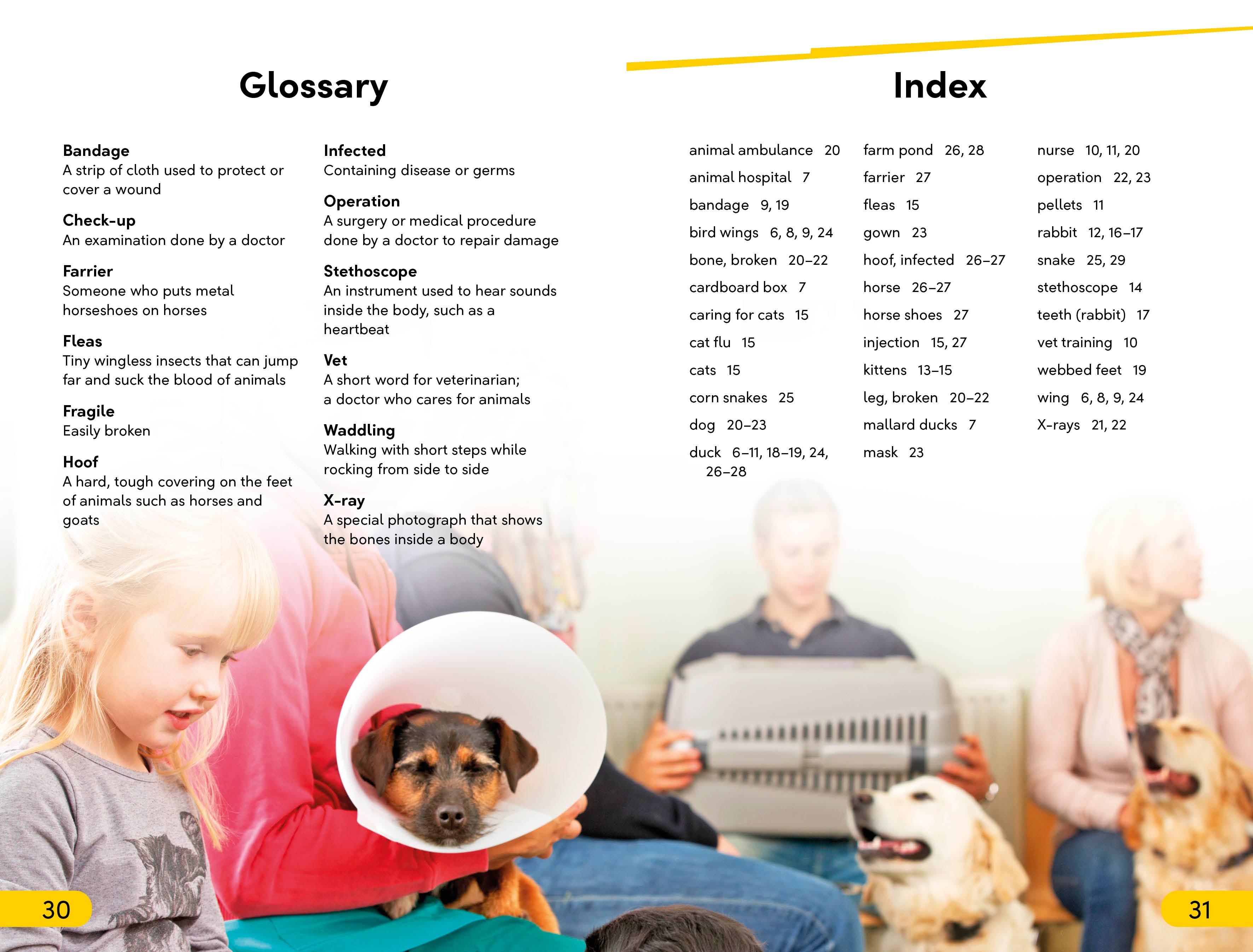 DK Super Readers Level 2 Animal Hospital