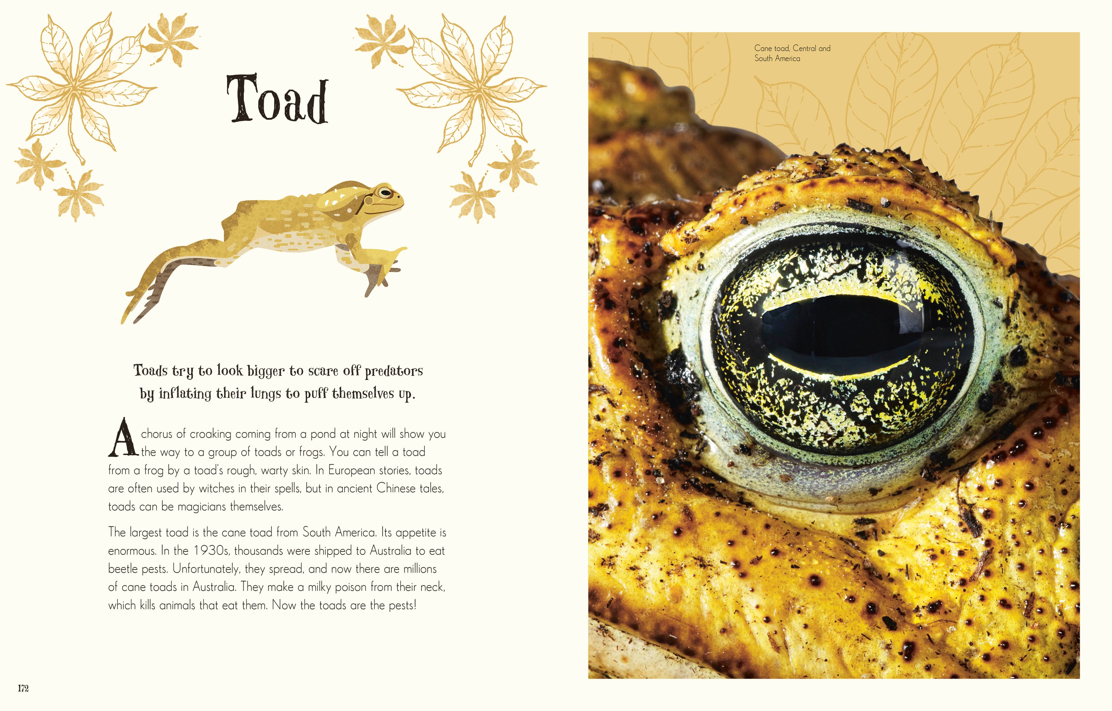 Children's Anthologies Collection-image