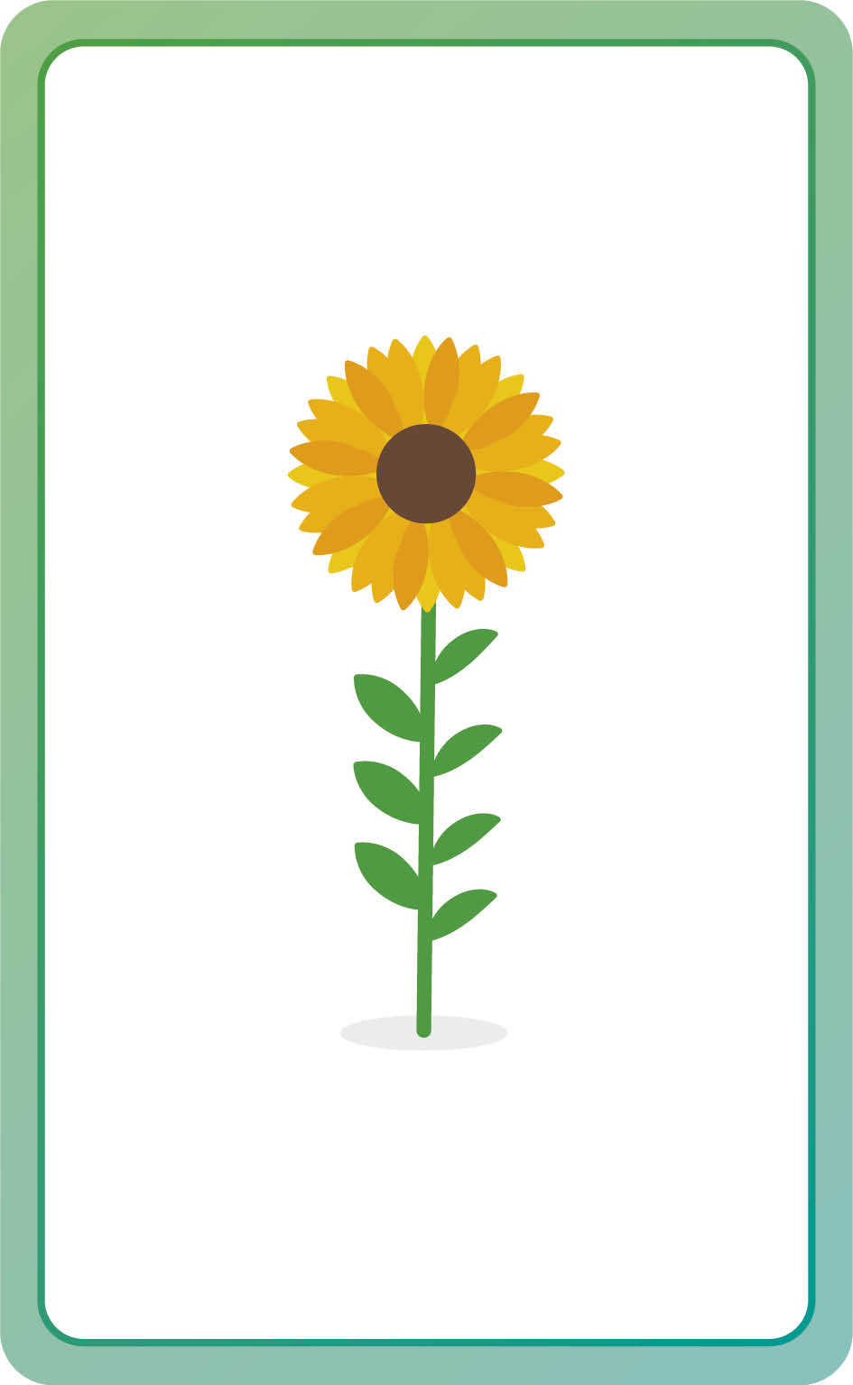 Italian for Everyone Junior First Words Flash Cards-image