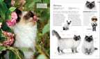 The Cat Encyclopedia-Spread, Image, (PRHC, Design, Do, Not, Use)-8