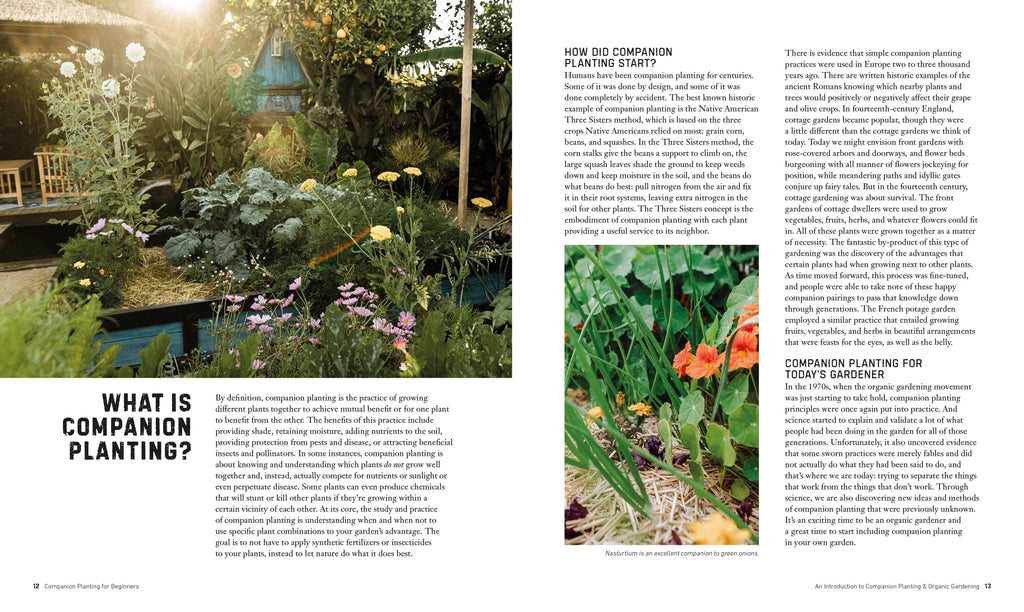 Companion Planting for Beginners-Spread, Image, (PRHC, Design, Do, Not, Use)-1