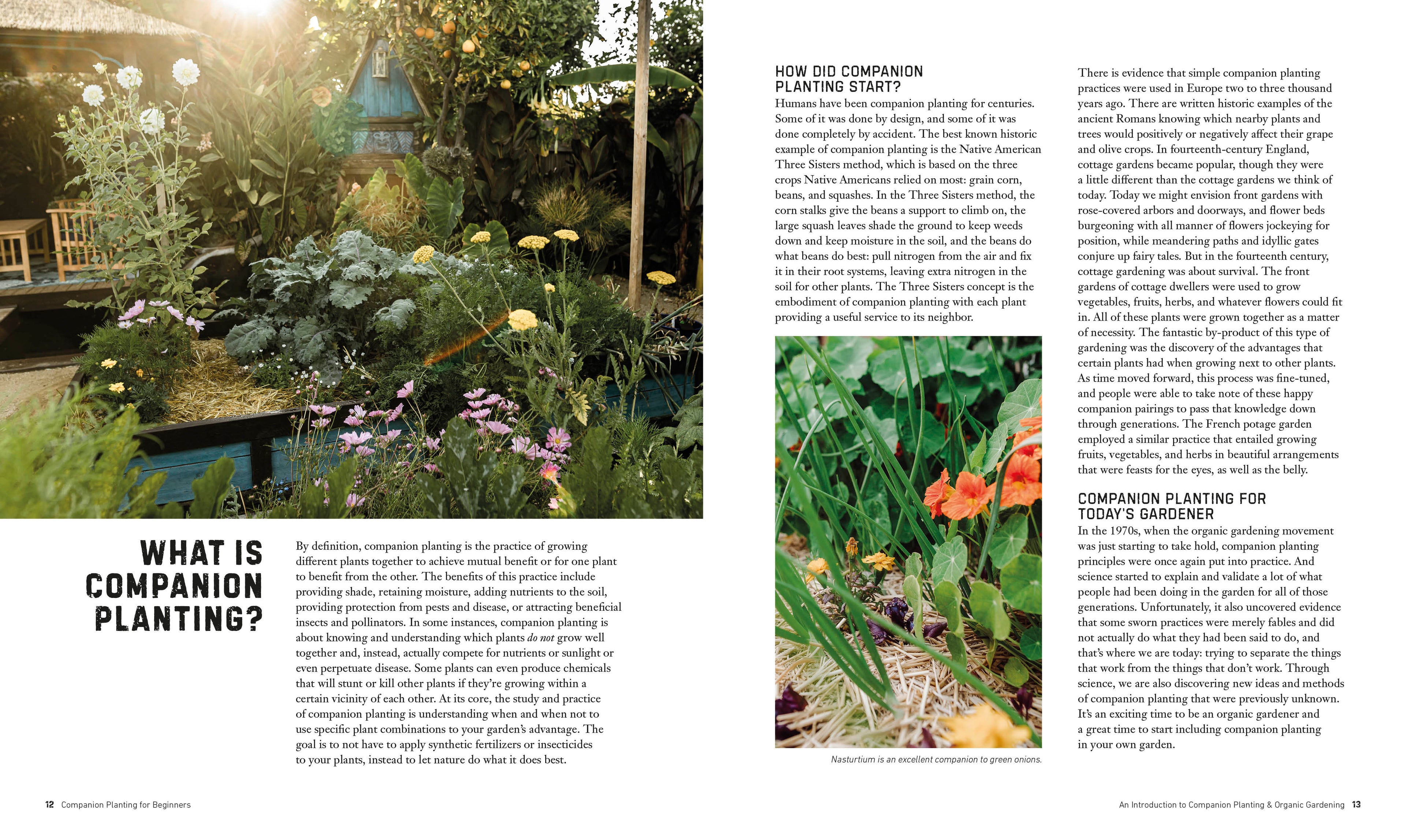 Companion Planting for Beginners-Spread, Image, (PRHC, Design, Do, Not, Use)-1