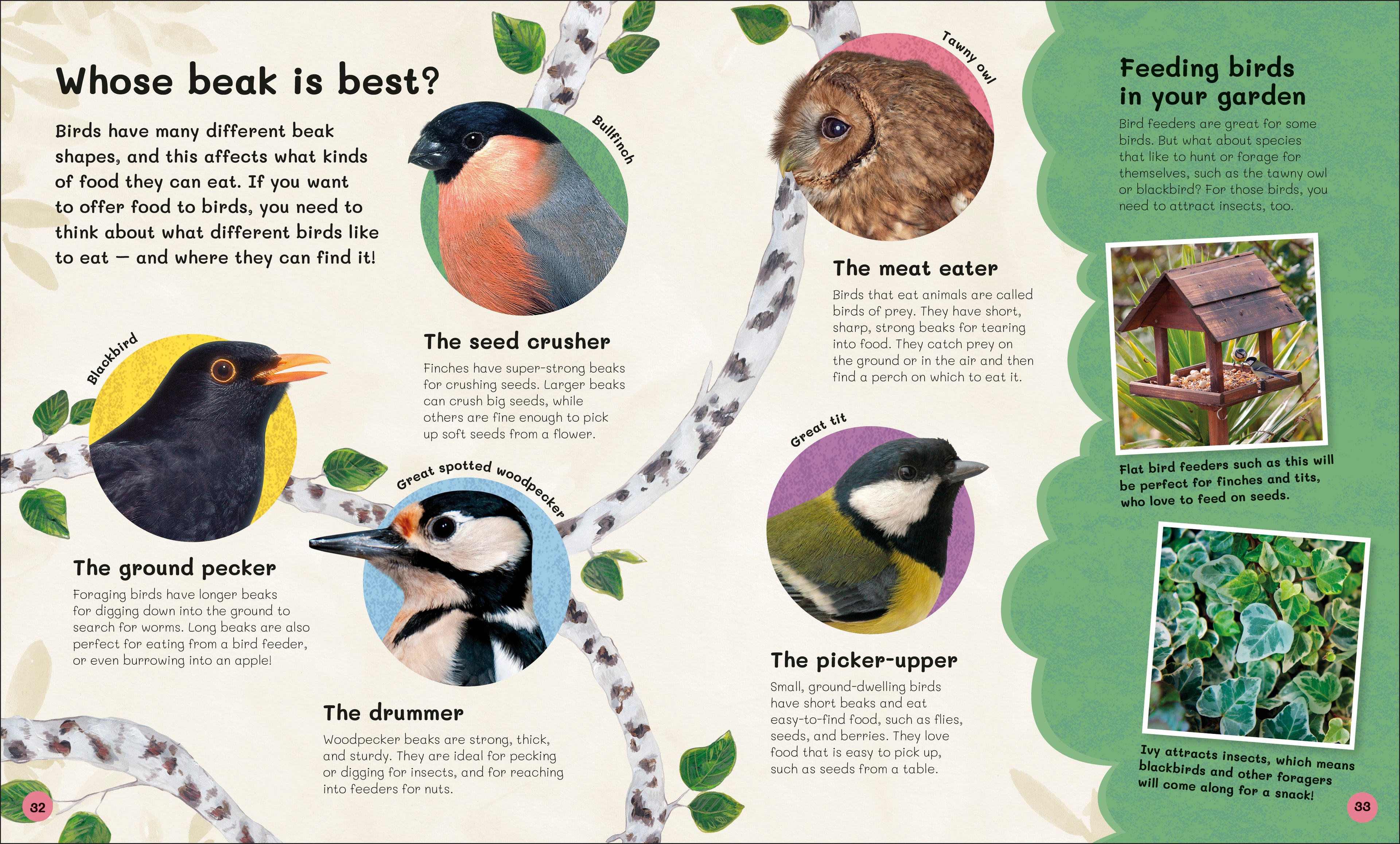 The Children's Book of Birdwatching