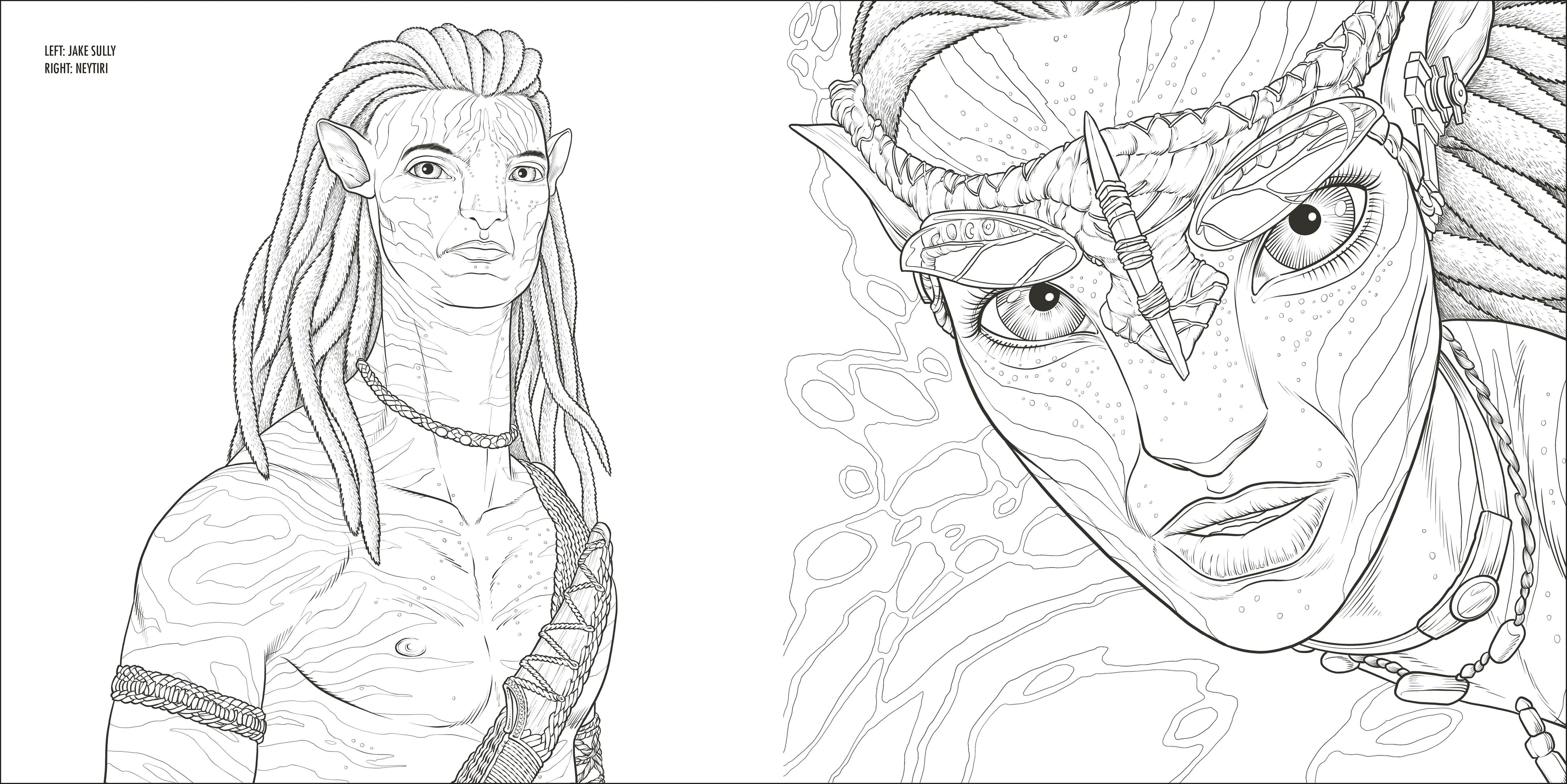 Avatar Coloring Book-image