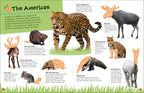 Ultimate Sticker Book Animals