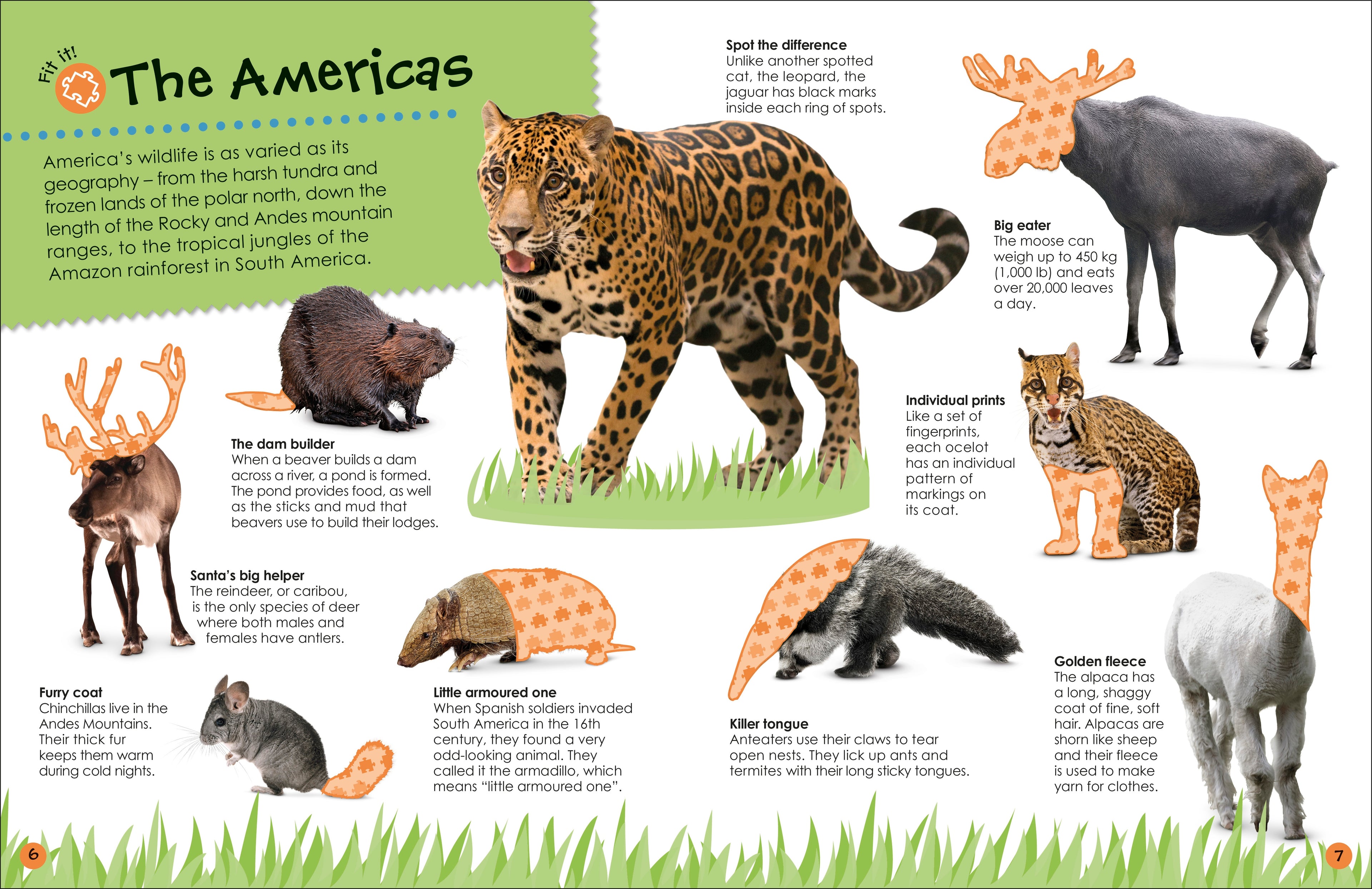 Ultimate Sticker Book Animals