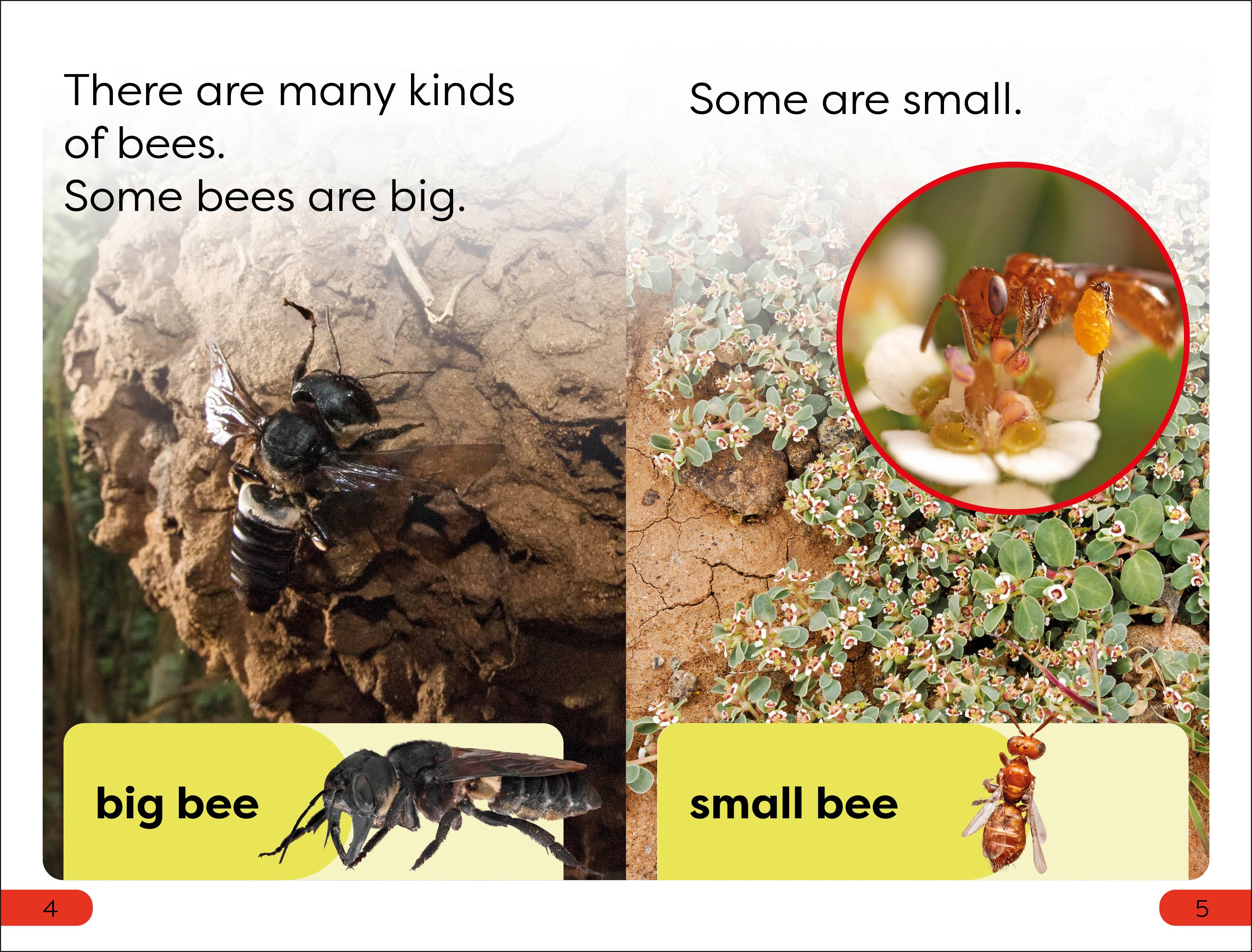 DK Super Readers Pre-Level Save the Bees