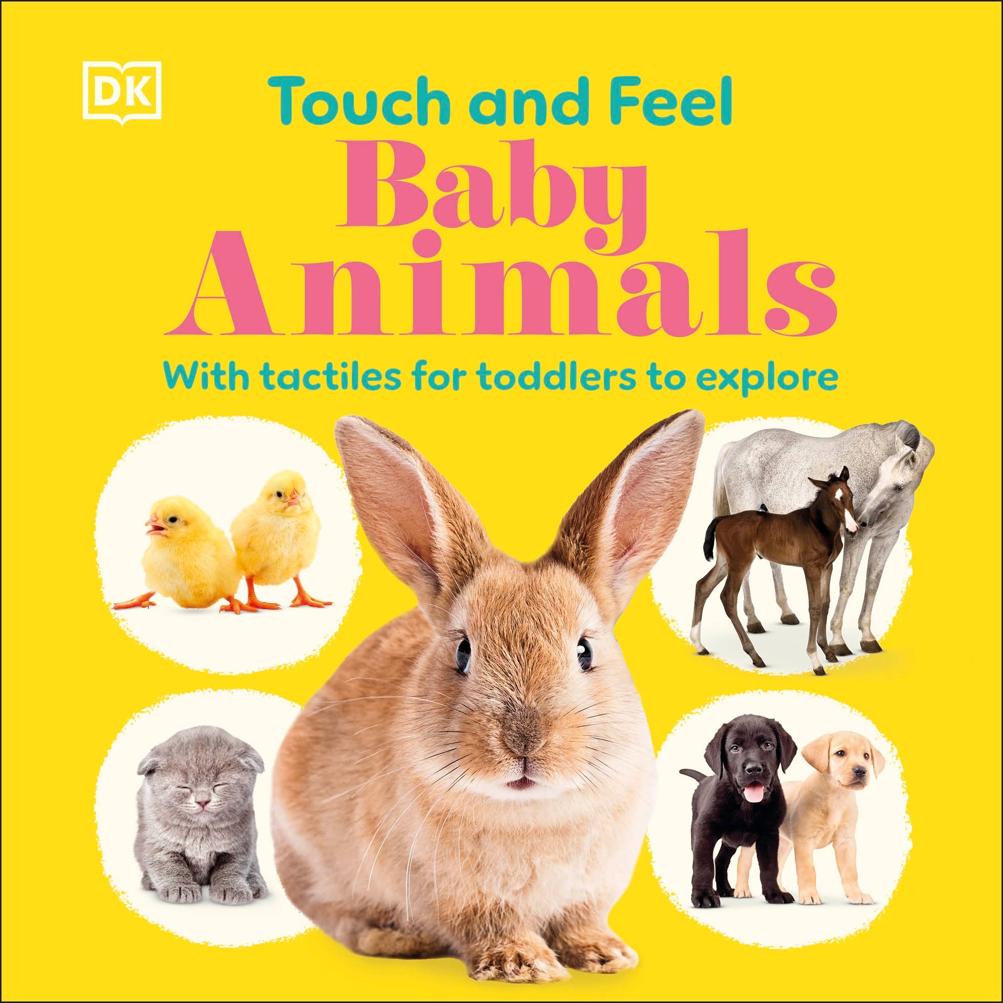 Touch and Feel Baby Animals- book cover