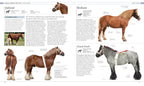 The Horse Encyclopedia