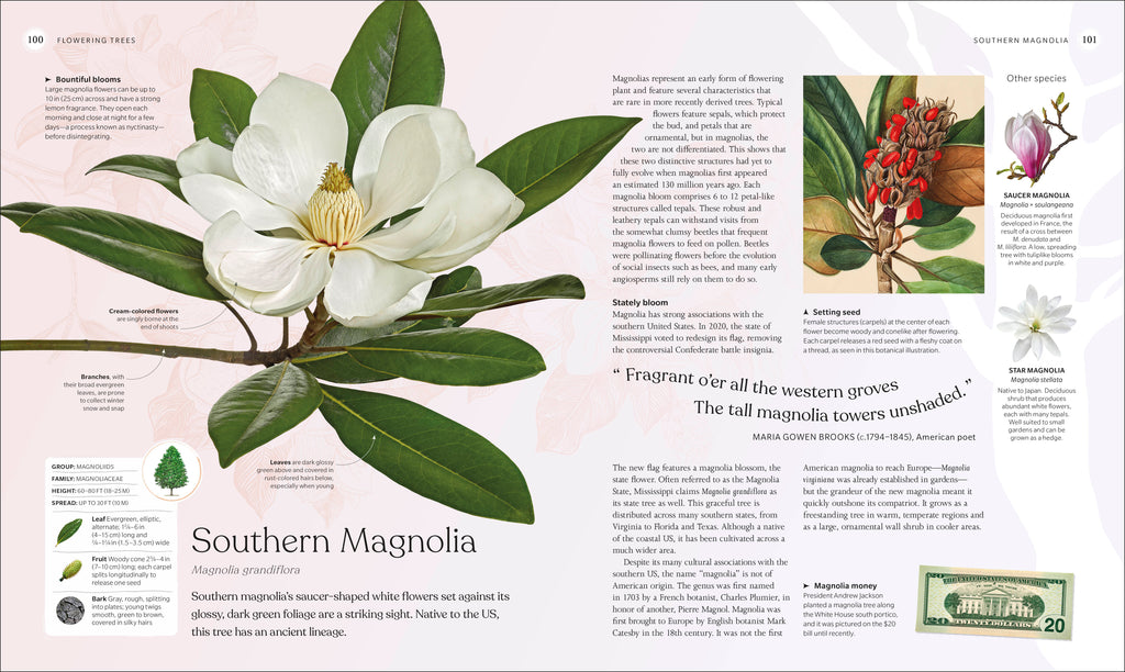 The Tree Book-Spread, Image, (PRHC, Design, Do, Not, Use)-6