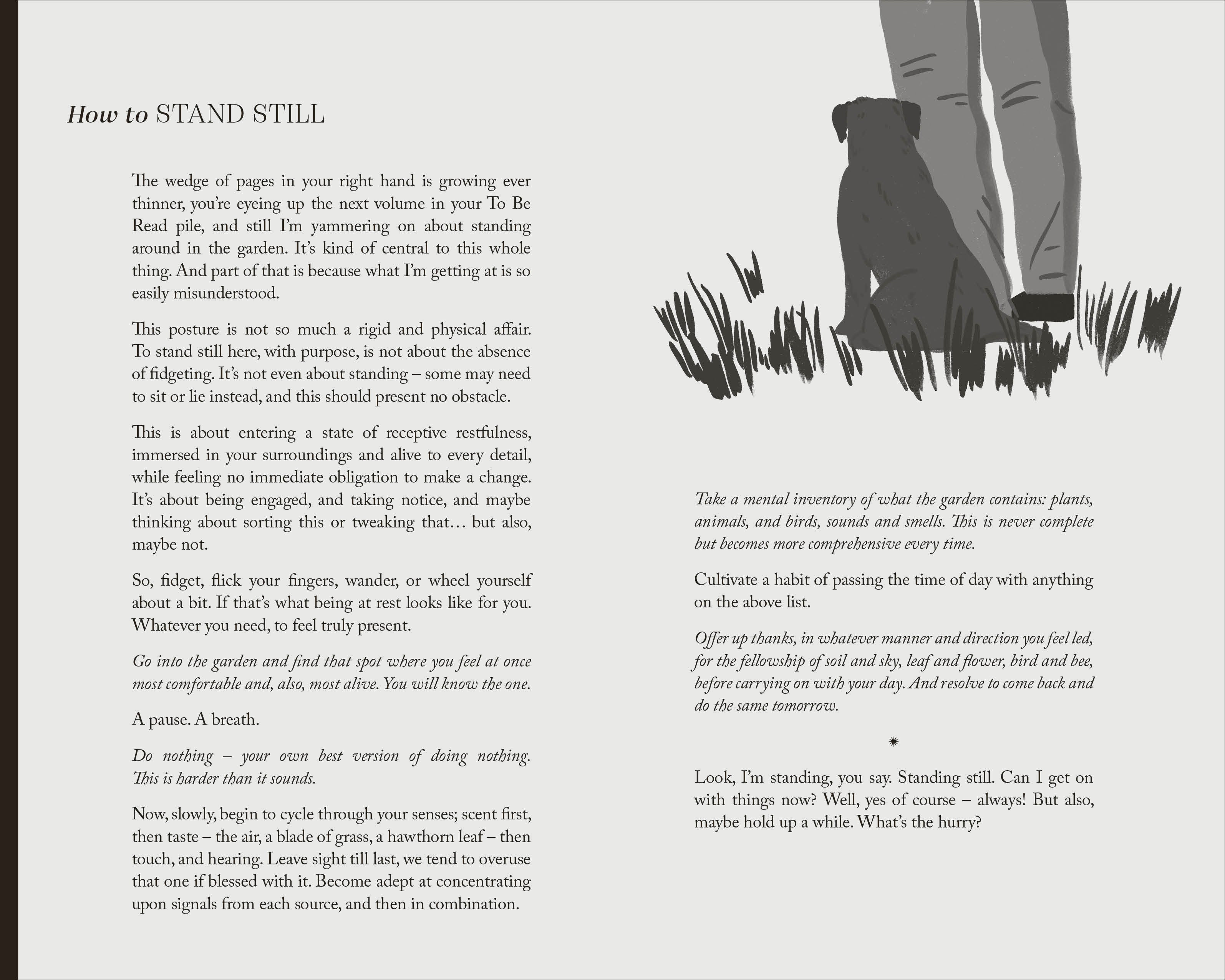 To Stand And Stare-Spread, Image, (PRHC, Design, Do, Not, Use)-6