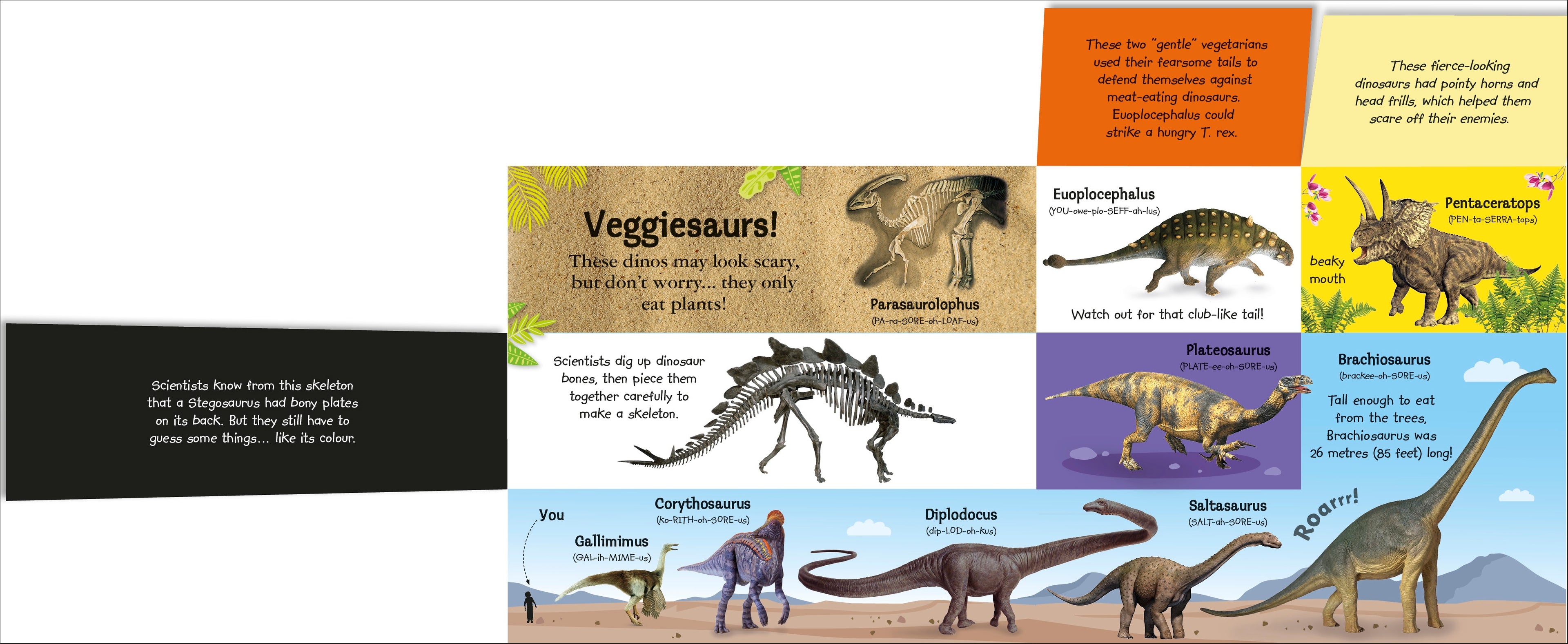 My Terrific Dinosaur Book