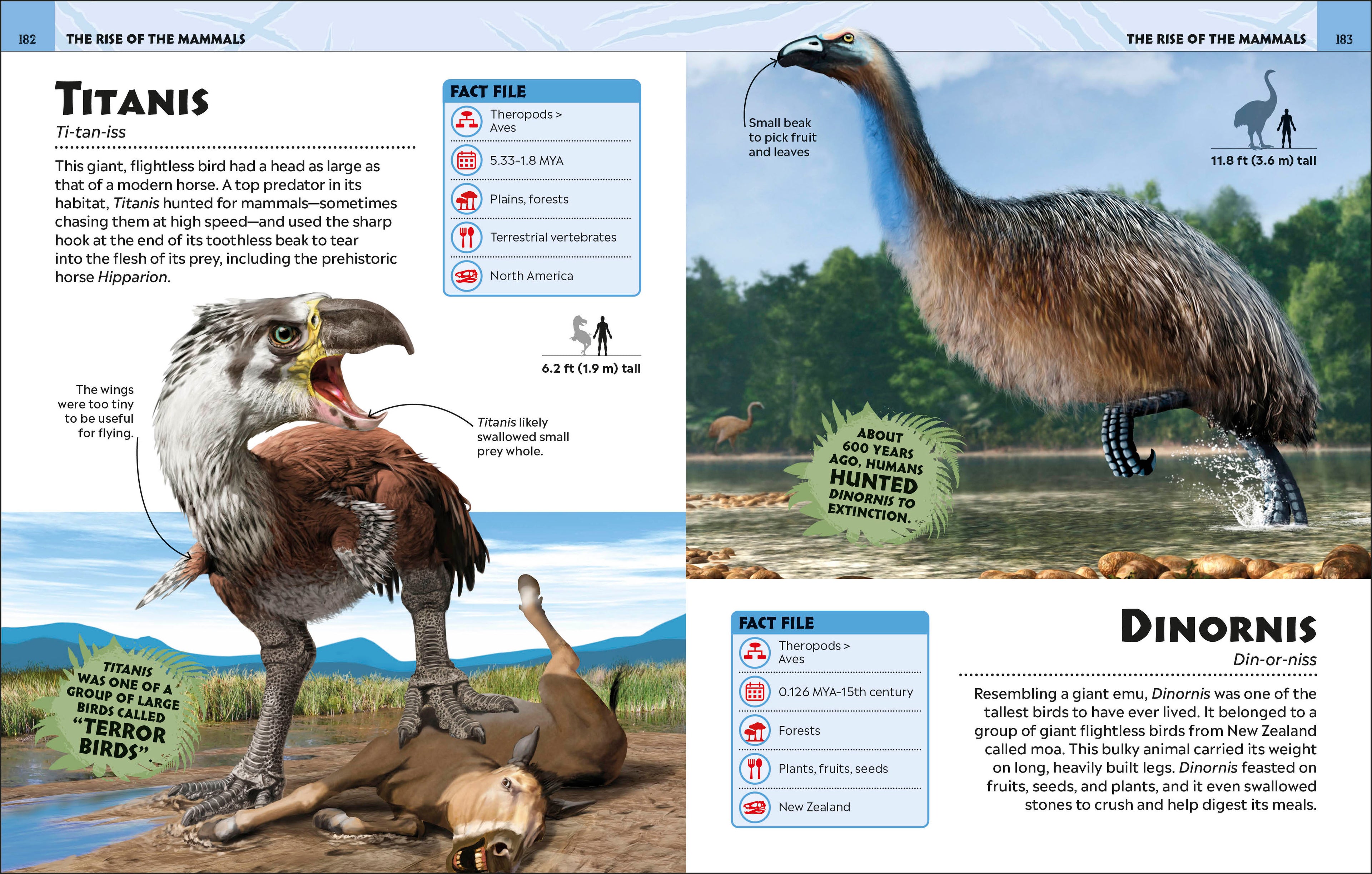 Extraordinary Dinosaurs and Other Prehistoric Life Visual Encyclopedia-Spread, Image, (PRHC, Design, Do, Not, Use)-6