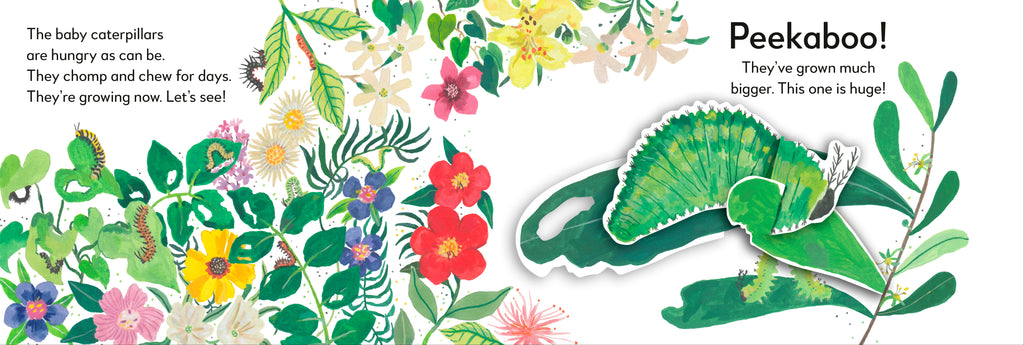 Pop-Up Peekaboo! Butterfly-Spread, Image, (PRHC, Design, Do, Not, Use)-4