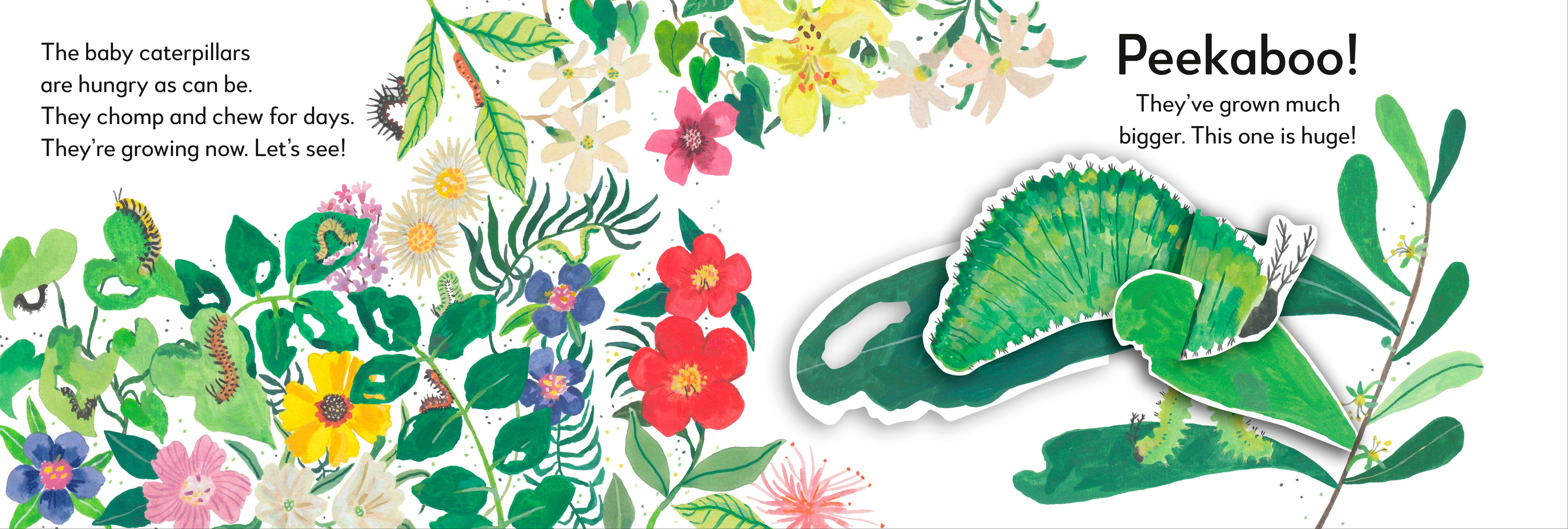 Pop-Up Peekaboo! Butterfly-Spread, Image, (PRHC, Design, Do, Not, Use)-4