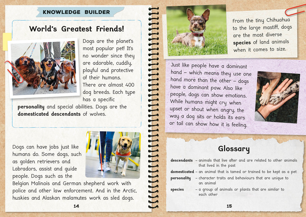 Phonic Books  The Fact Files 1