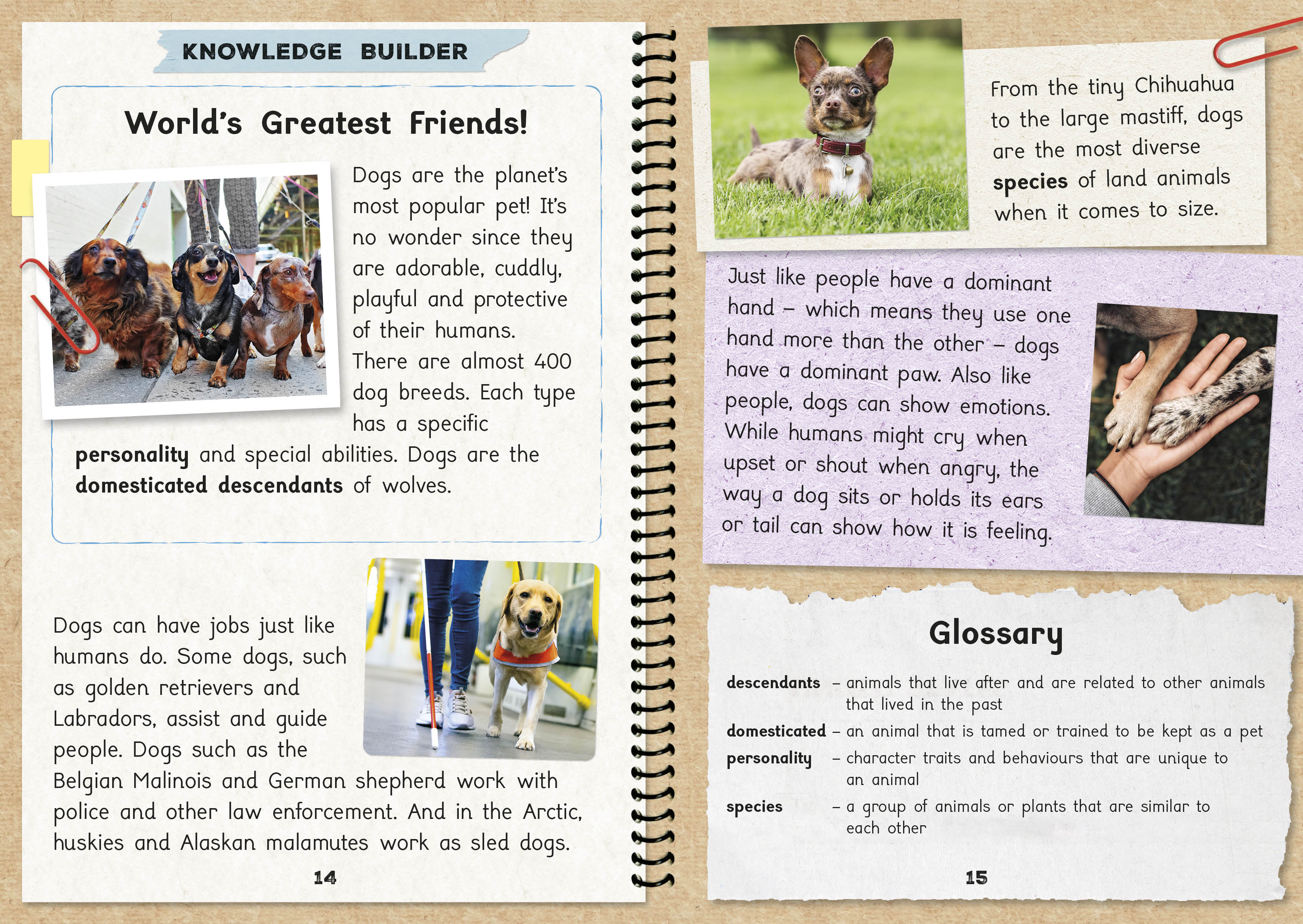 Phonic Books  The Fact Files 1