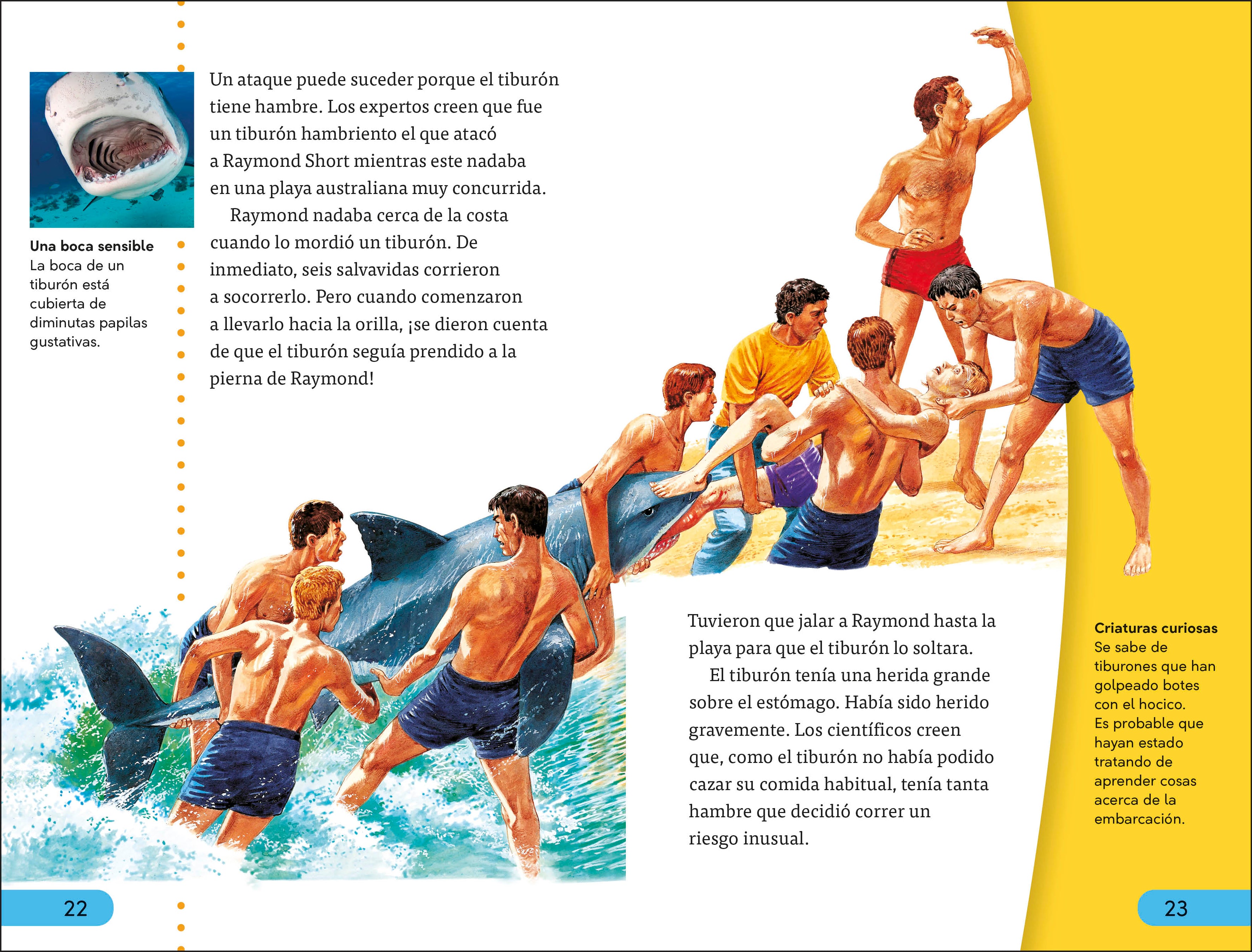 DK Super Readers Level 4 Ataques de tiburones (Shark Attack)-Spread, Image, (PRHC, Design, Do, Not, Use)-4