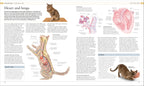The Cat Encyclopedia-Spread, Image, (PRHC, Design, Do, Not, Use)-3