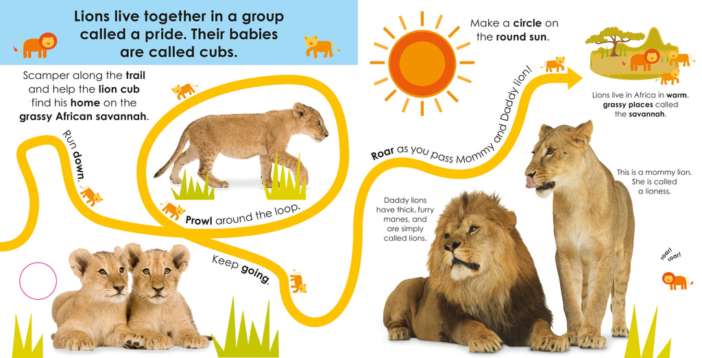 Follow the Trail: Wild Animals