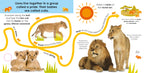 Follow the Trail: Wild Animals