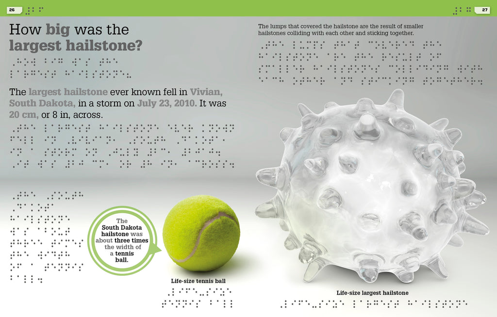 DK Braille: It Can't Be True