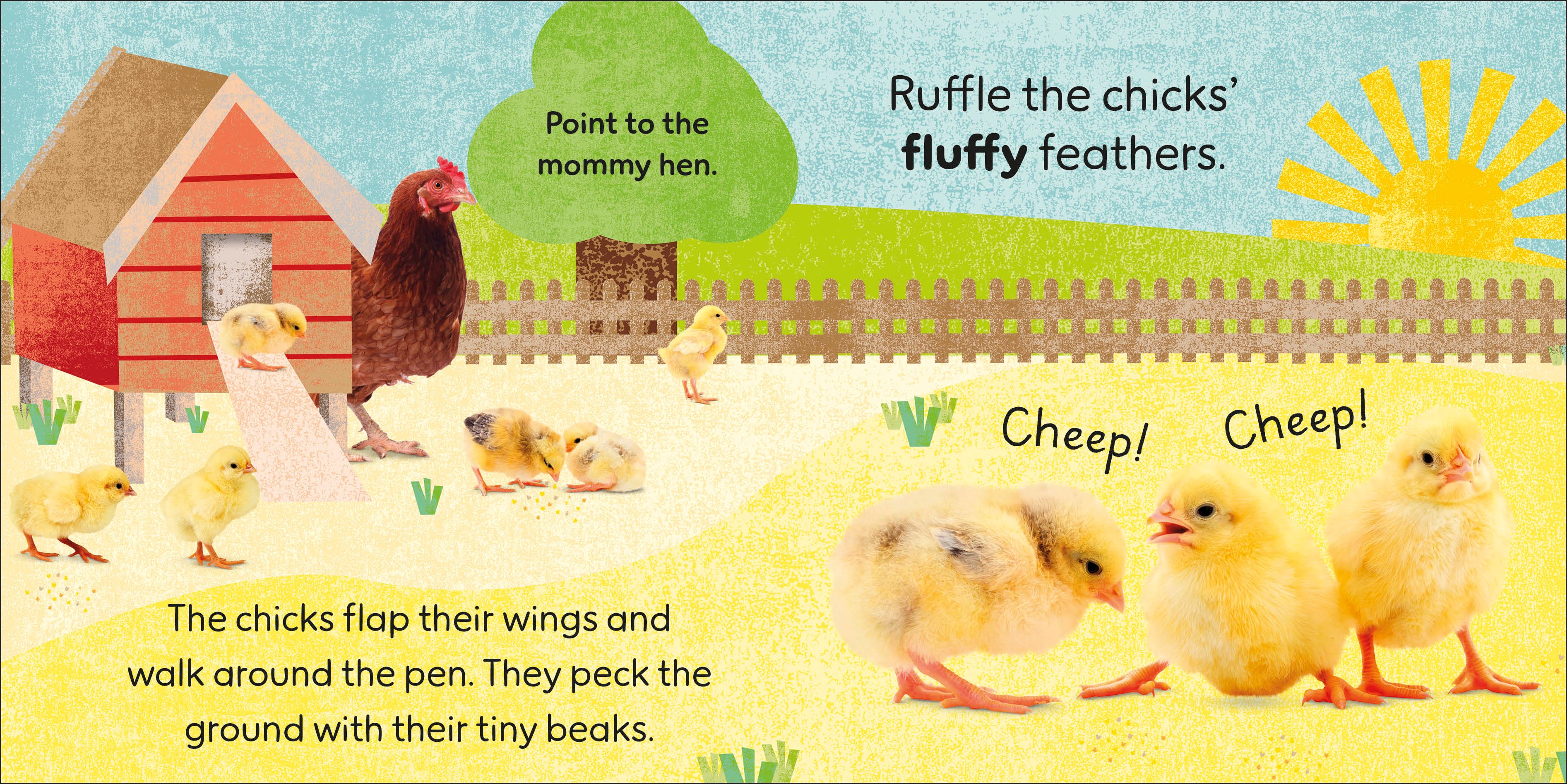 Touch and Feel Baby Animals-Spread, Image, (PRHC, Design, Do, Not, Use)-3