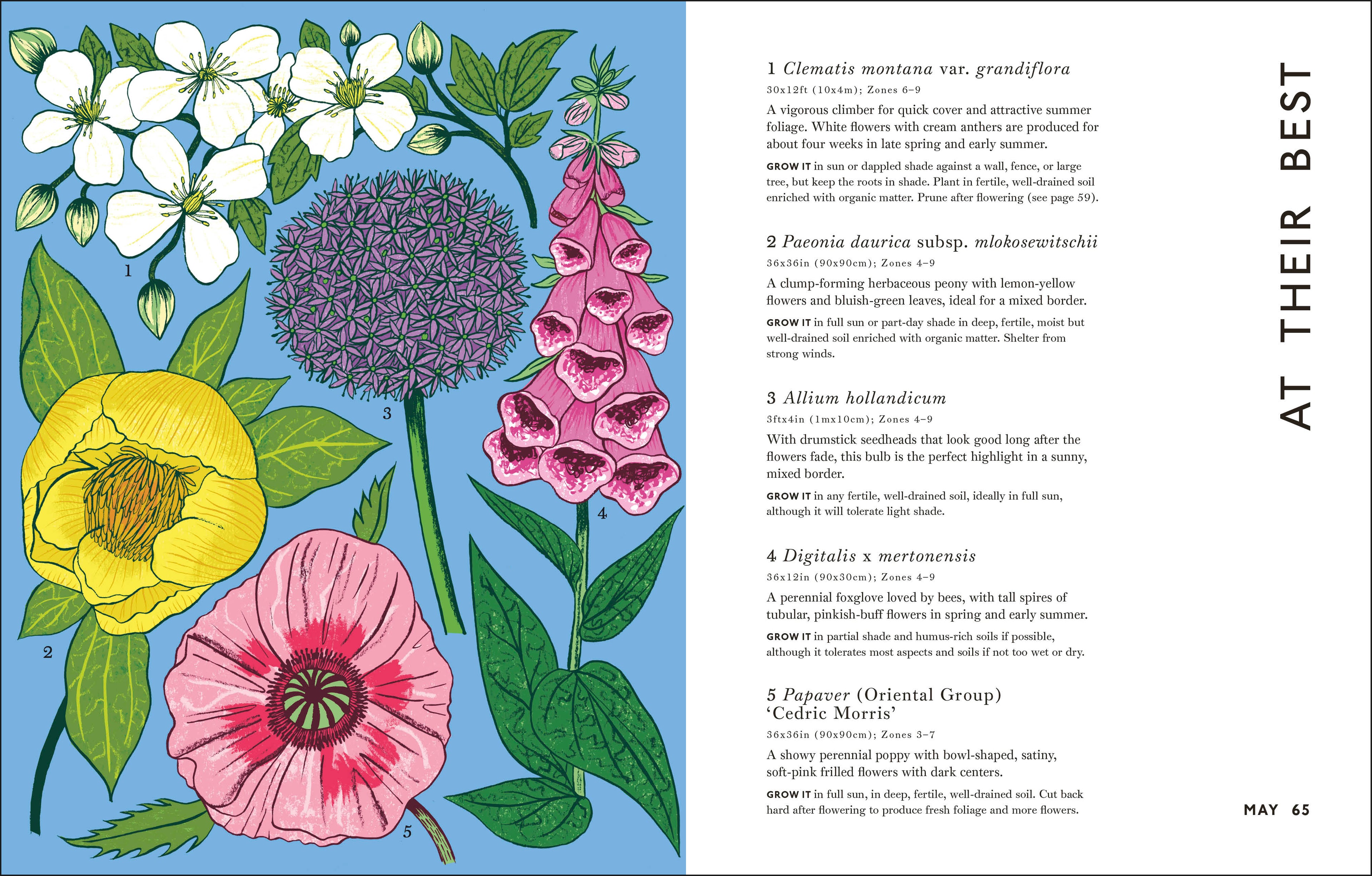 Your Gardening Year-Spread, Image, (PRHC, Design, Do, Not, Use)-12