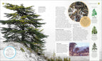 The Tree Book-Spread, Image, (PRHC, Design, Do, Not, Use)-5