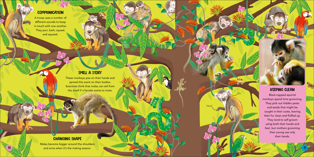 Animal Teams-Spread, Image, (PRHC, Design, Do, Not, Use)-2