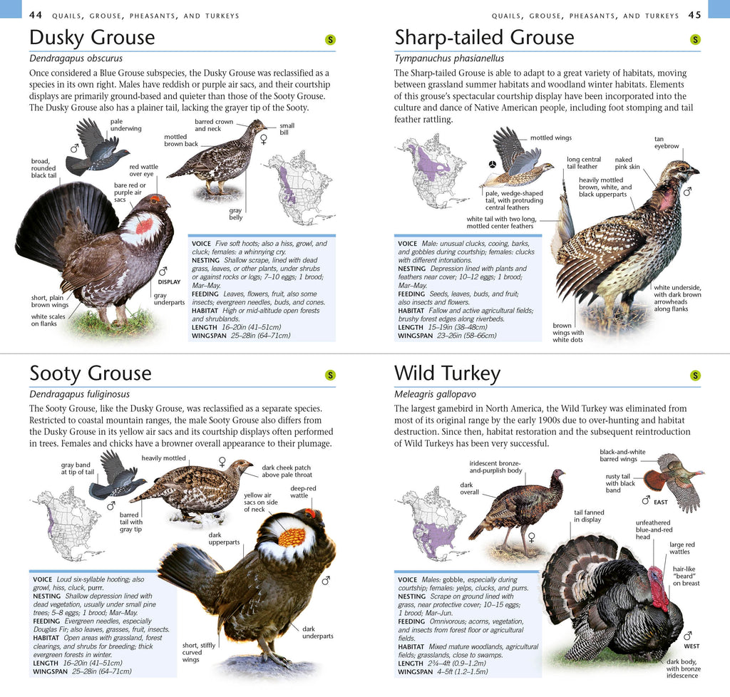 American Museum of Natural History: Pocket Birds of North America, Western Region