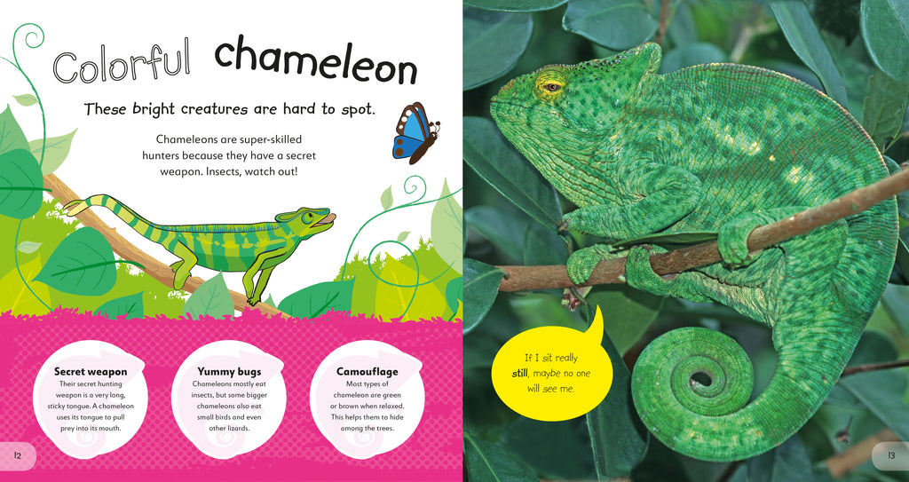 The Incredible Fold-Out Book of Animals