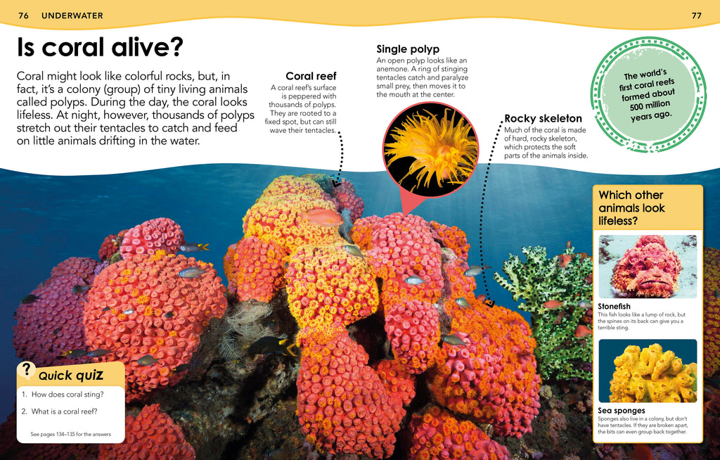 Did You Know? Animals