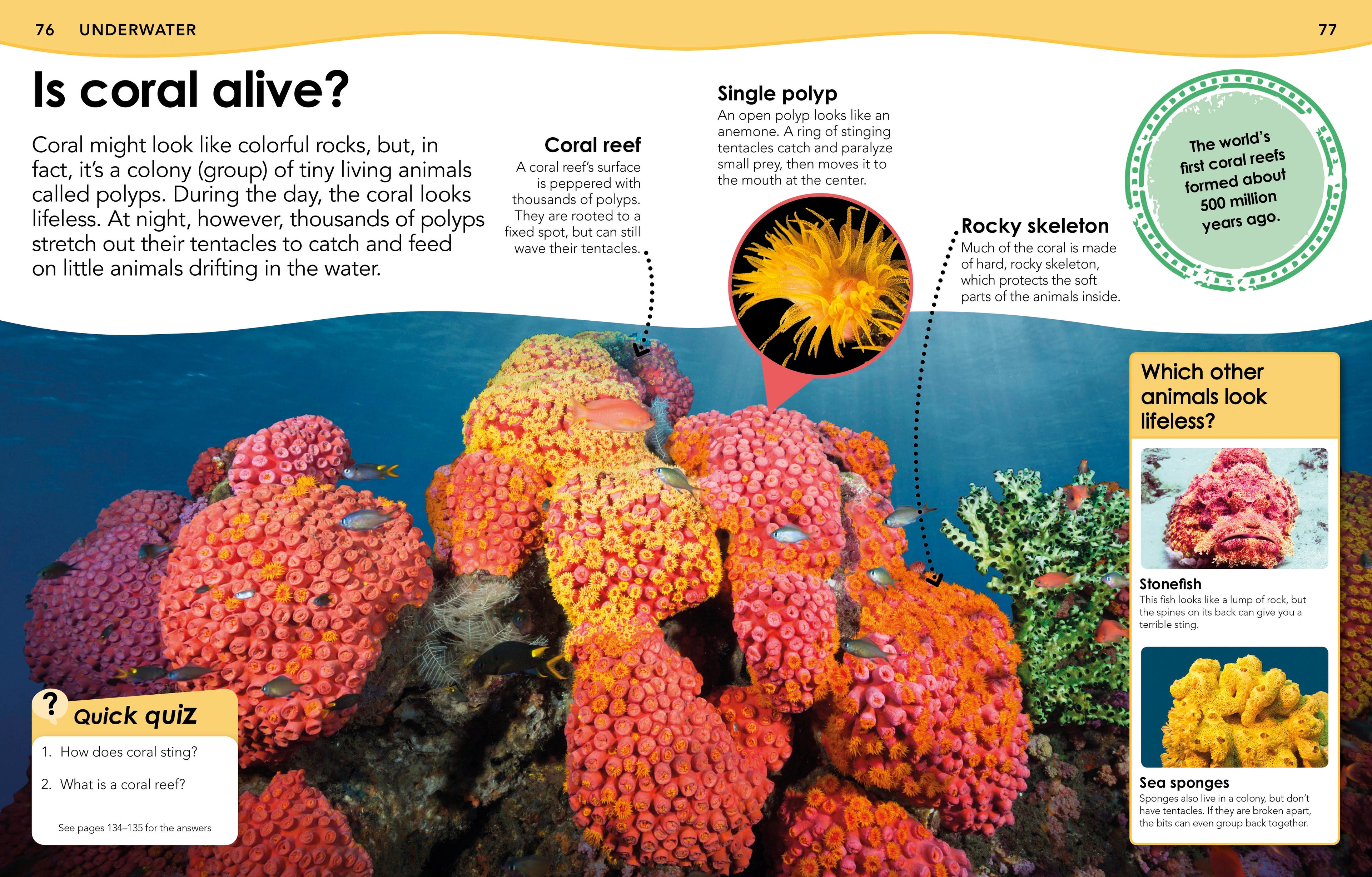 Did You Know? Animals