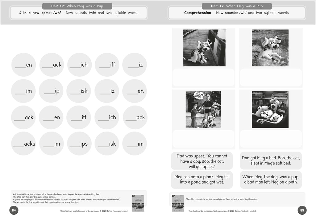 Phonic Books Dandelion Readers Reading and Writing Activities Set 1 Units 11-20-image