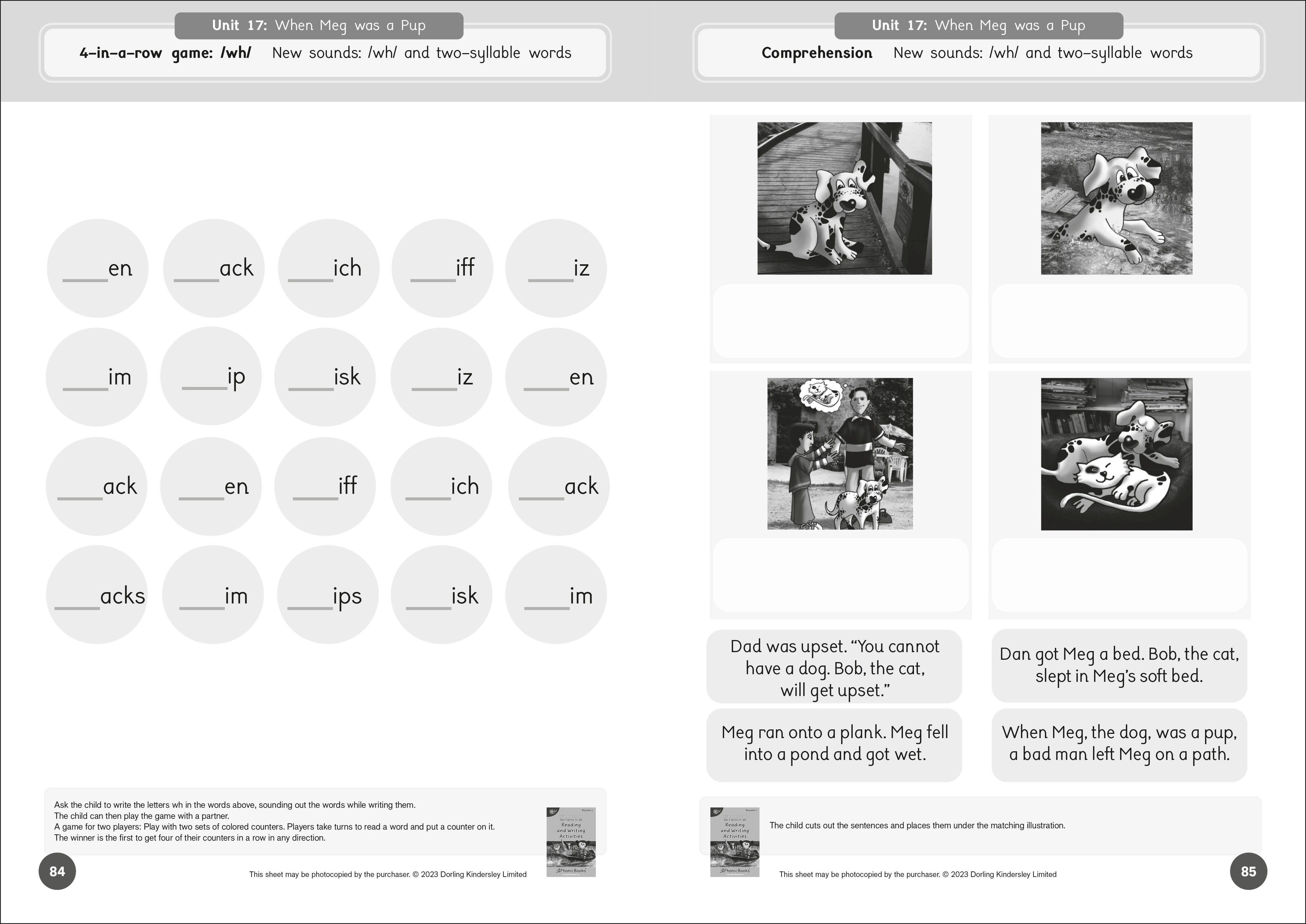 Phonic Books Dandelion Readers Reading and Writing Activities Set 1 Units 11-20-image