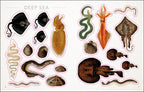 The Seashore Sticker Anthology-Spread, Image, (PRHC, Design, Do, Not, Use)-1