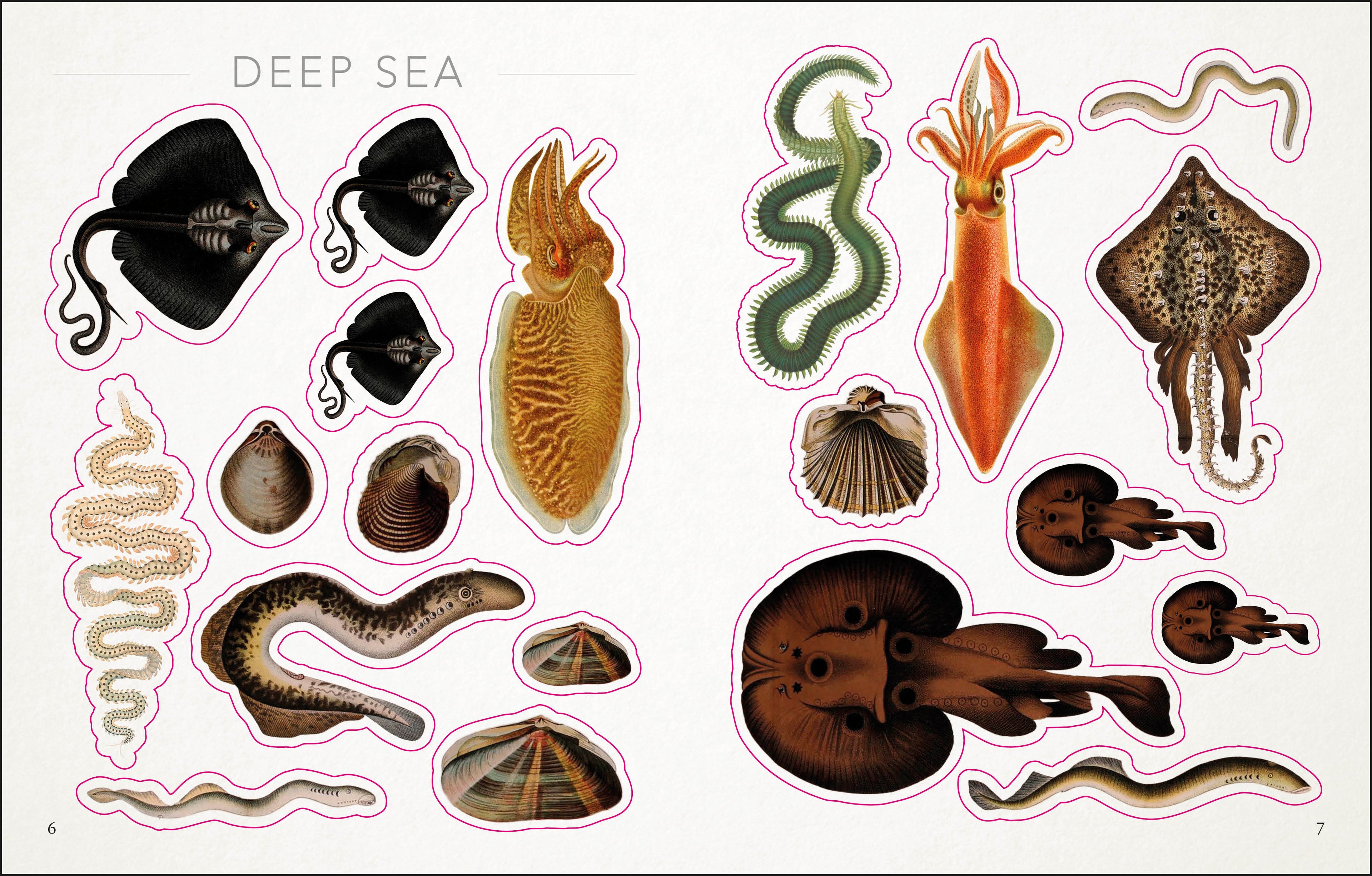 The Seashore Sticker Anthology-Spread, Image, (PRHC, Design, Do, Not, Use)-1