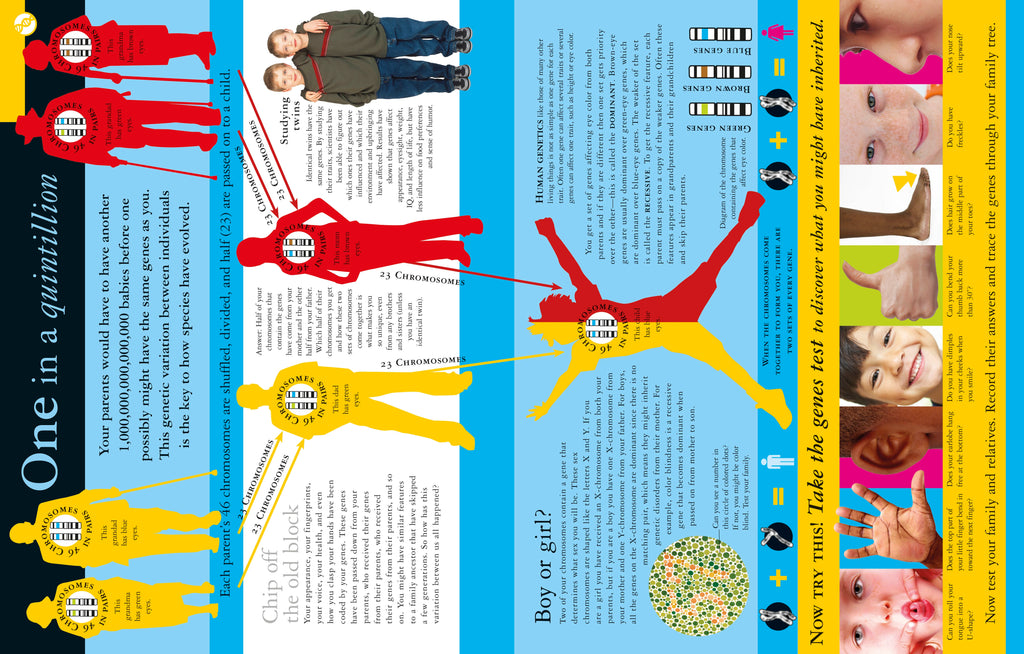 Evolution Revolution