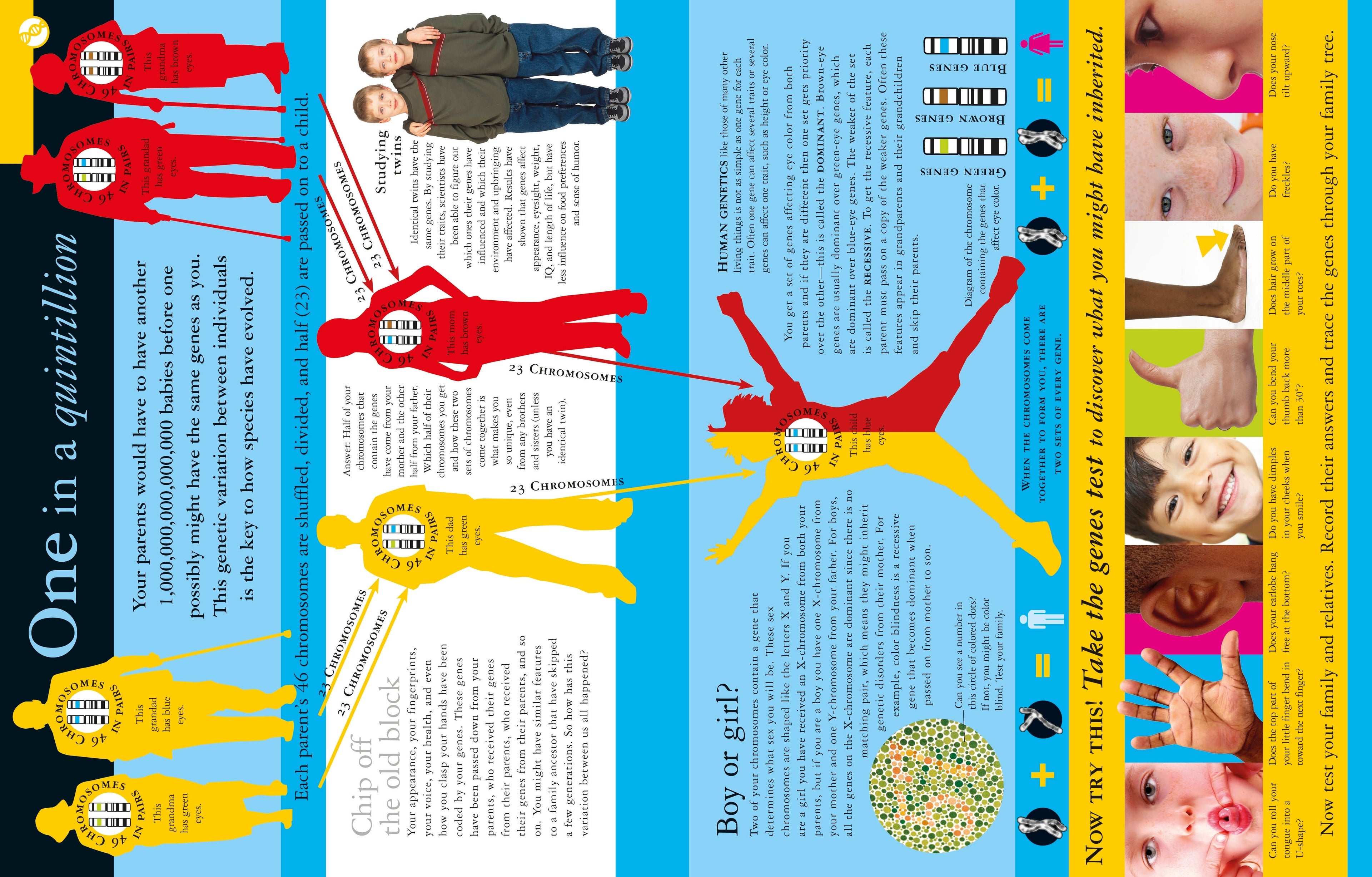 Evolution Revolution