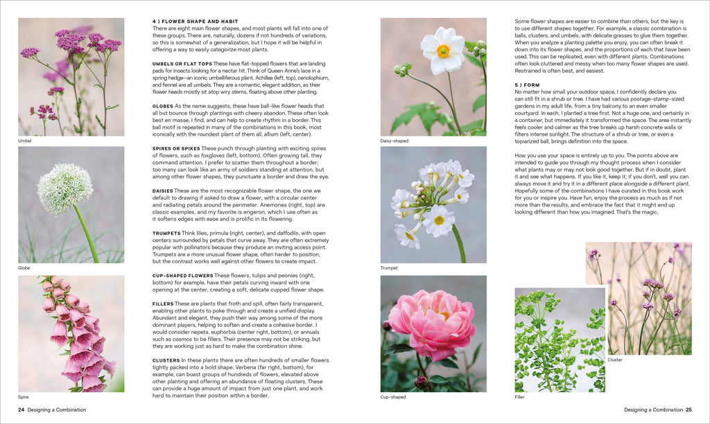 What Grows Together-Spread, Image, (PRHC, Design, Do, Not, Use)-2