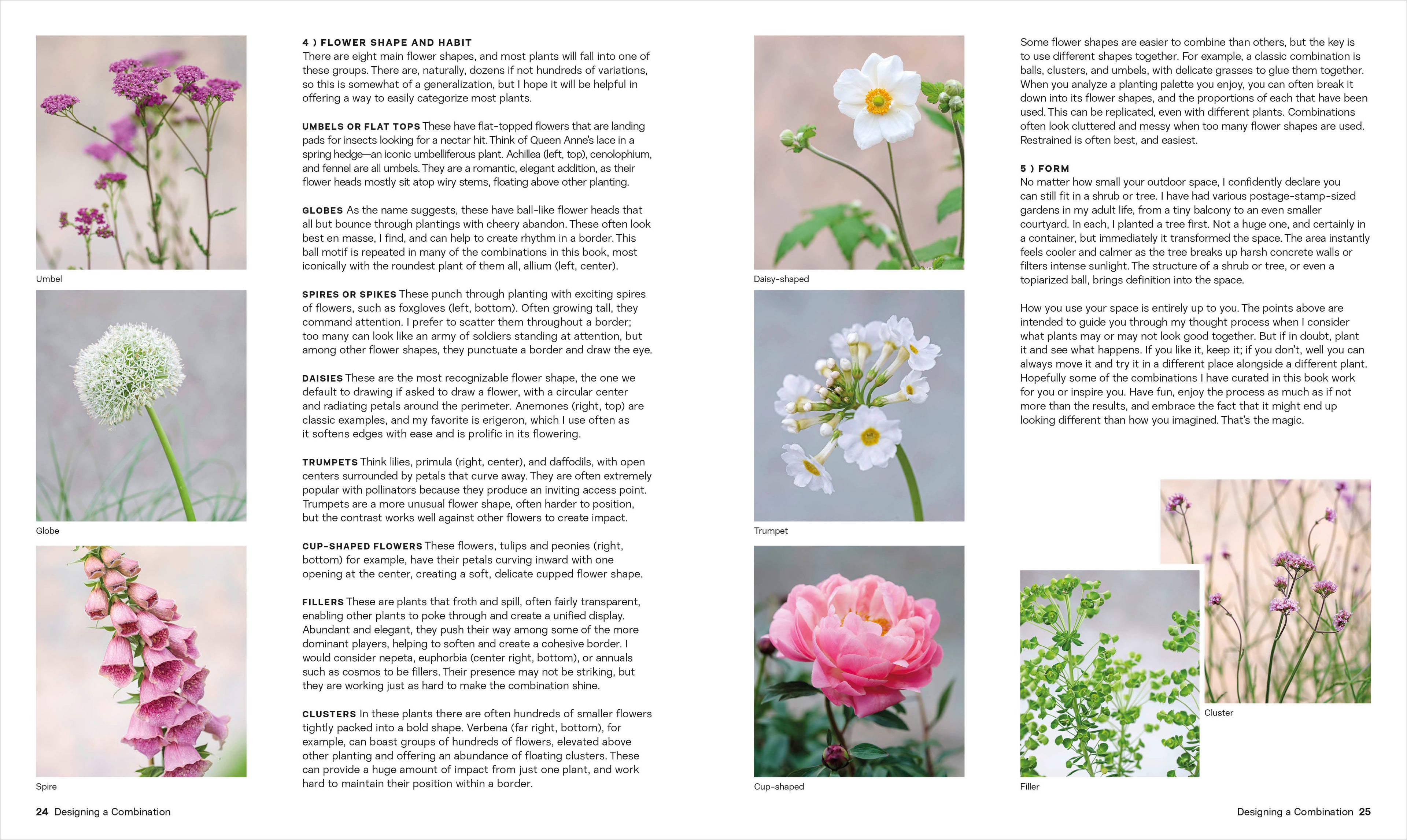 What Grows Together-Spread, Image, (PRHC, Design, Do, Not, Use)-2