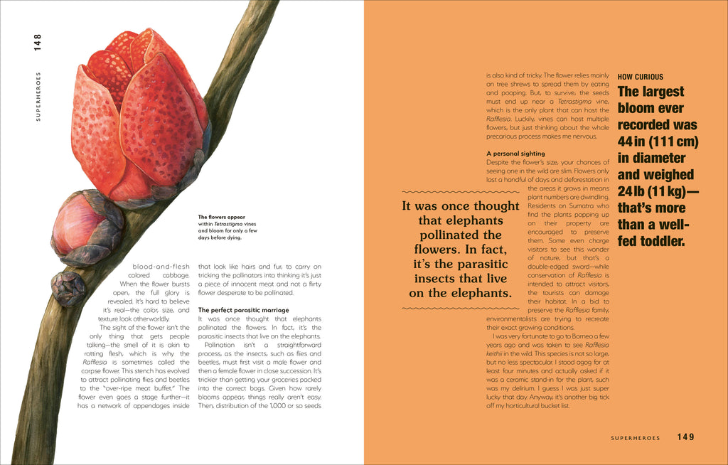 Hortus Curious-Spread, Image, (PRHC, Design, Do, Not, Use)-6